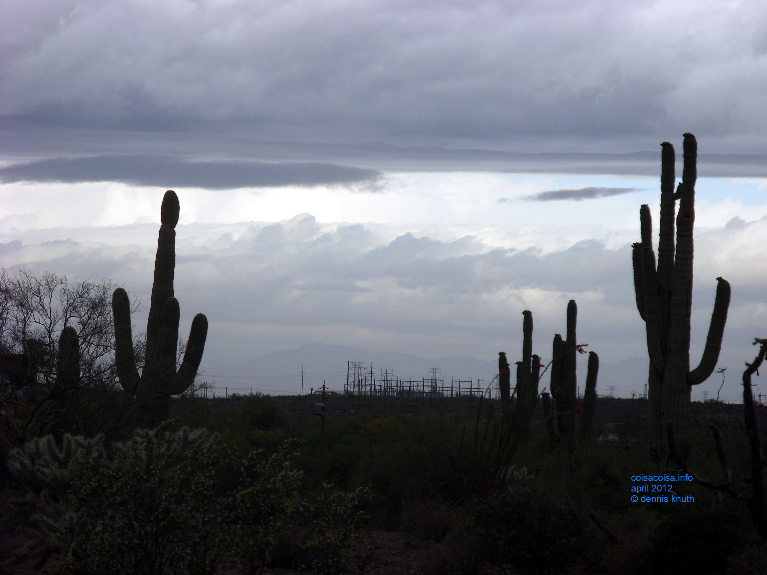 2012_04_26_a_superstition_mountain_0025.jpg (large)