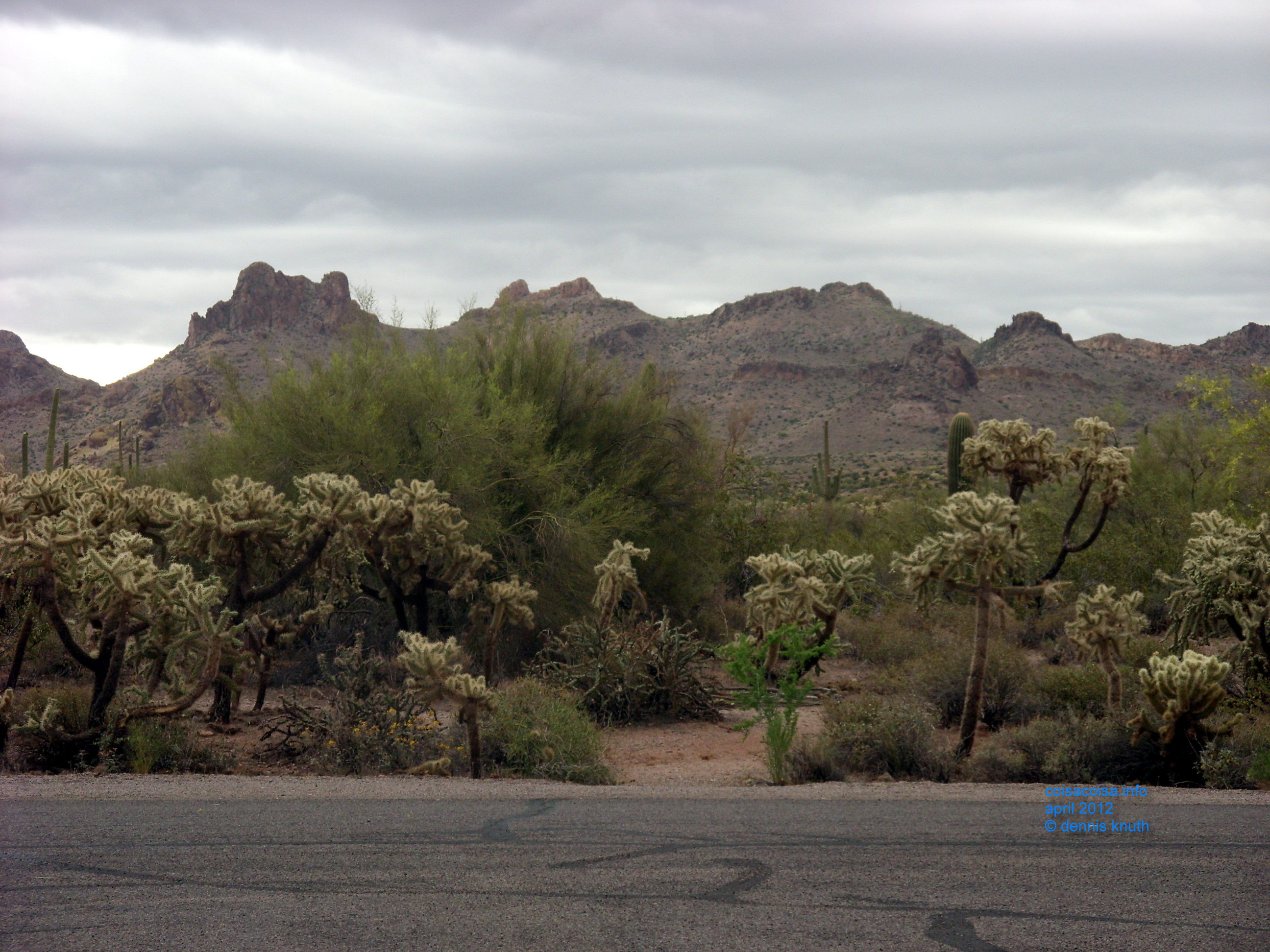 2012_04_26_a_superstition_mountain_0029.jpg (large)