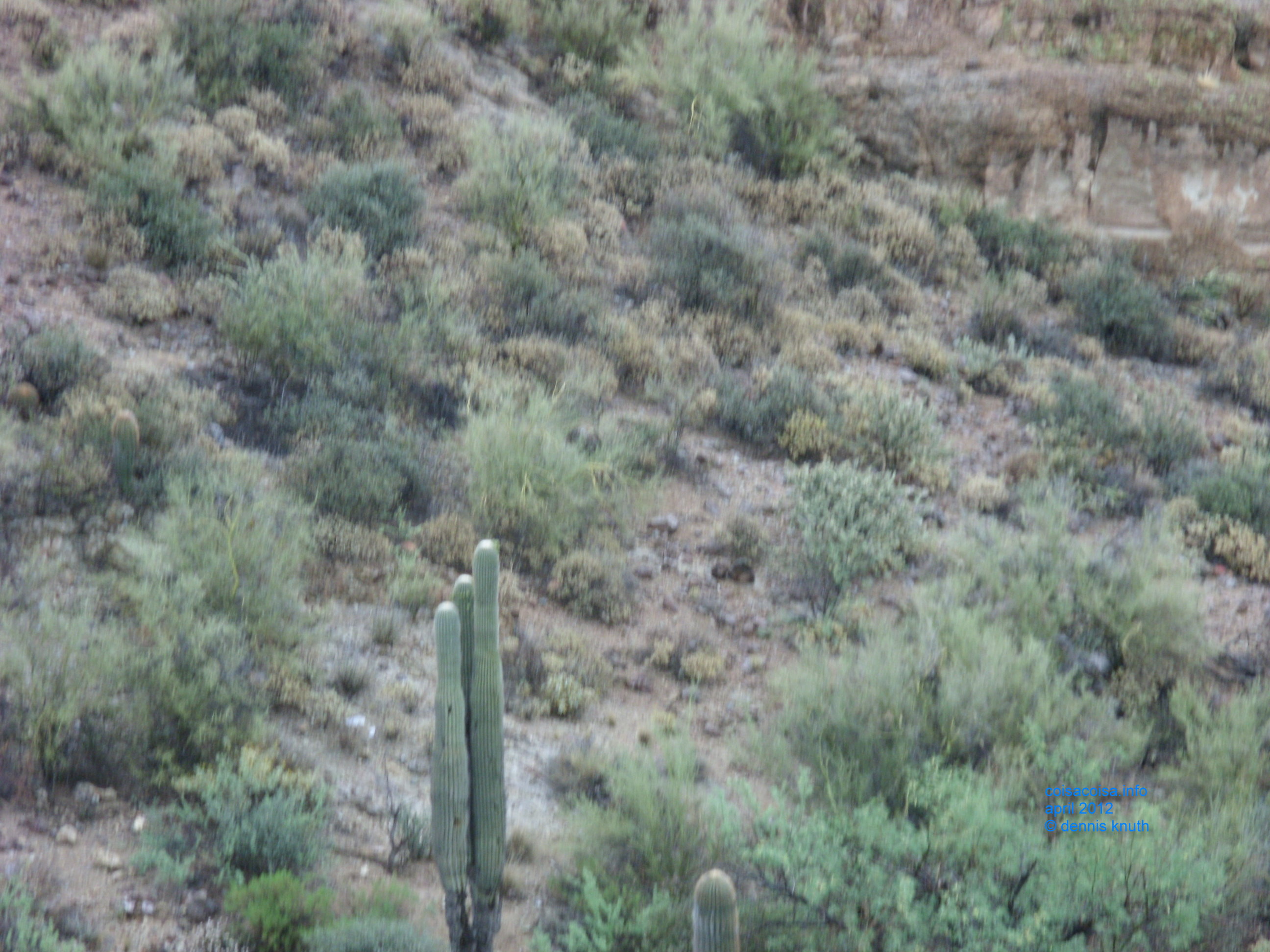 2012_04_26_b_apache_trail_tortilla_flat_0011.jpg (large)