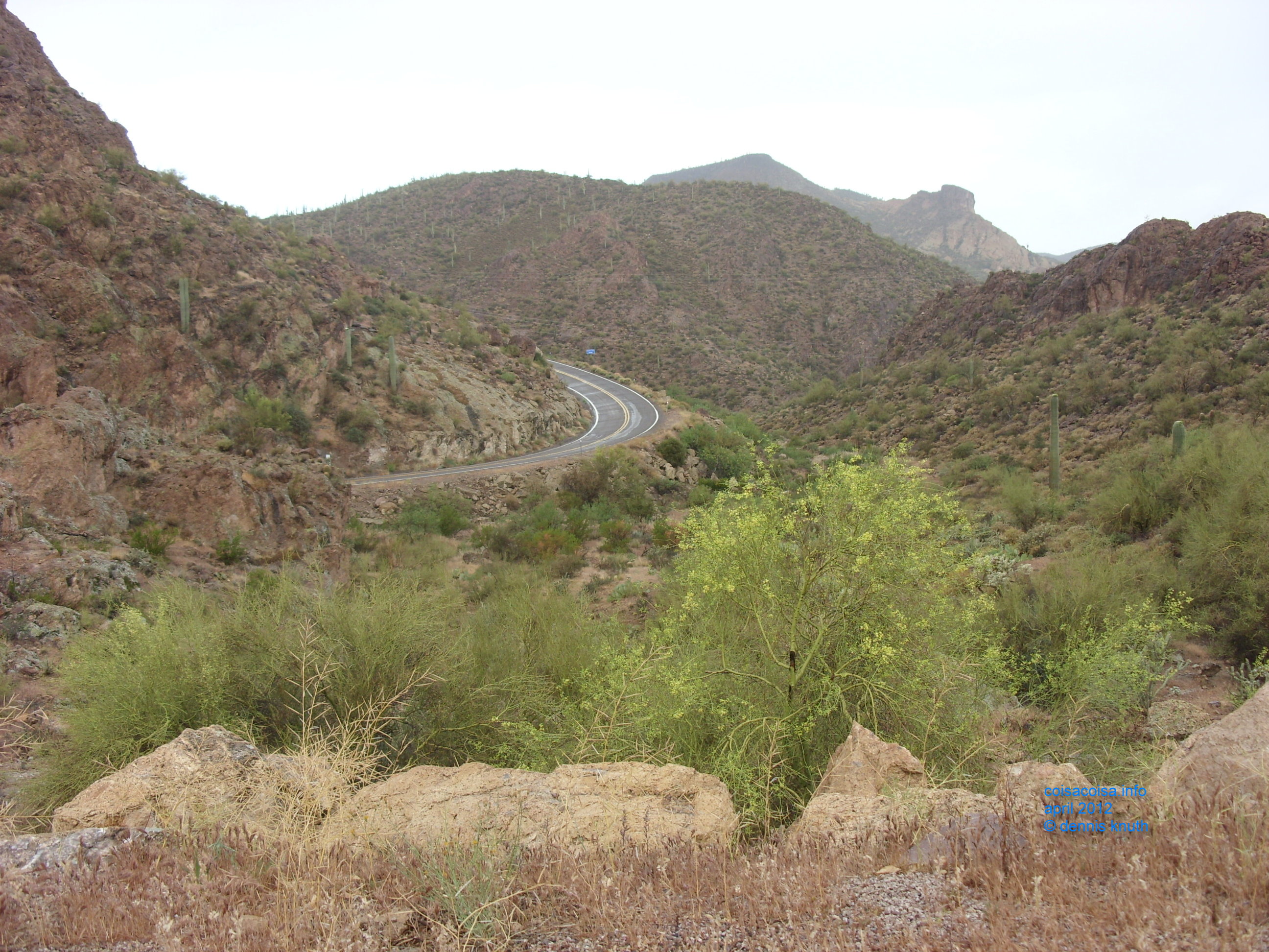 Highway 88 just out of Tortilla Flat