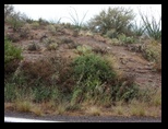 2012_04_26_b_apache_trail_tortilla_flat_0028.jpg