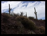 2012_04_26_b_apache_trail_tortilla_flat_0045.jpg
