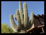 2012_04_26_e_apache_junction_ghost_town_0033.jpg