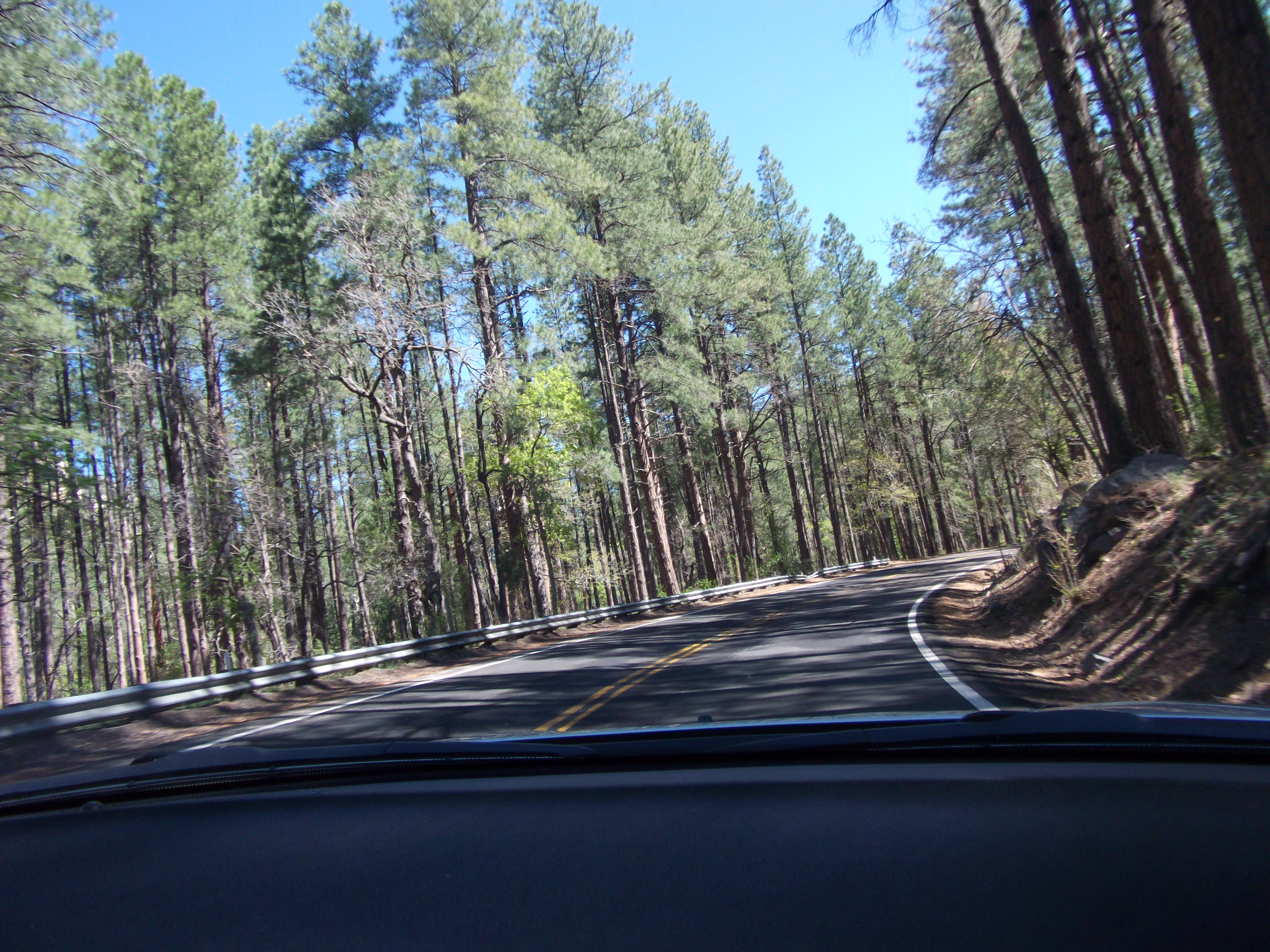 2012_04_27_oak_creek_canyon_sk_0035.jpg (large)