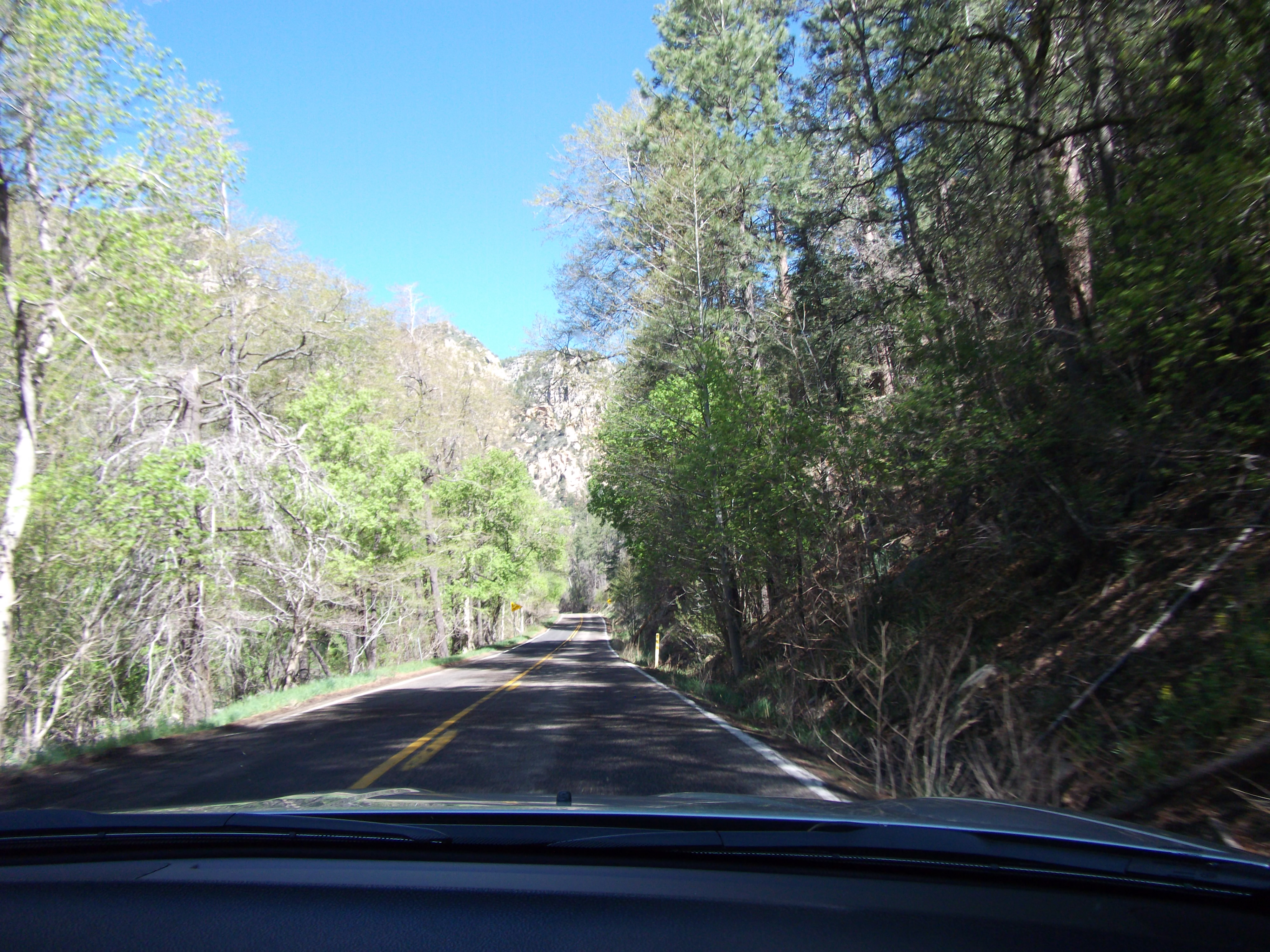 2012_04_27_oak_creek_canyon_sk_0037.jpg (large)