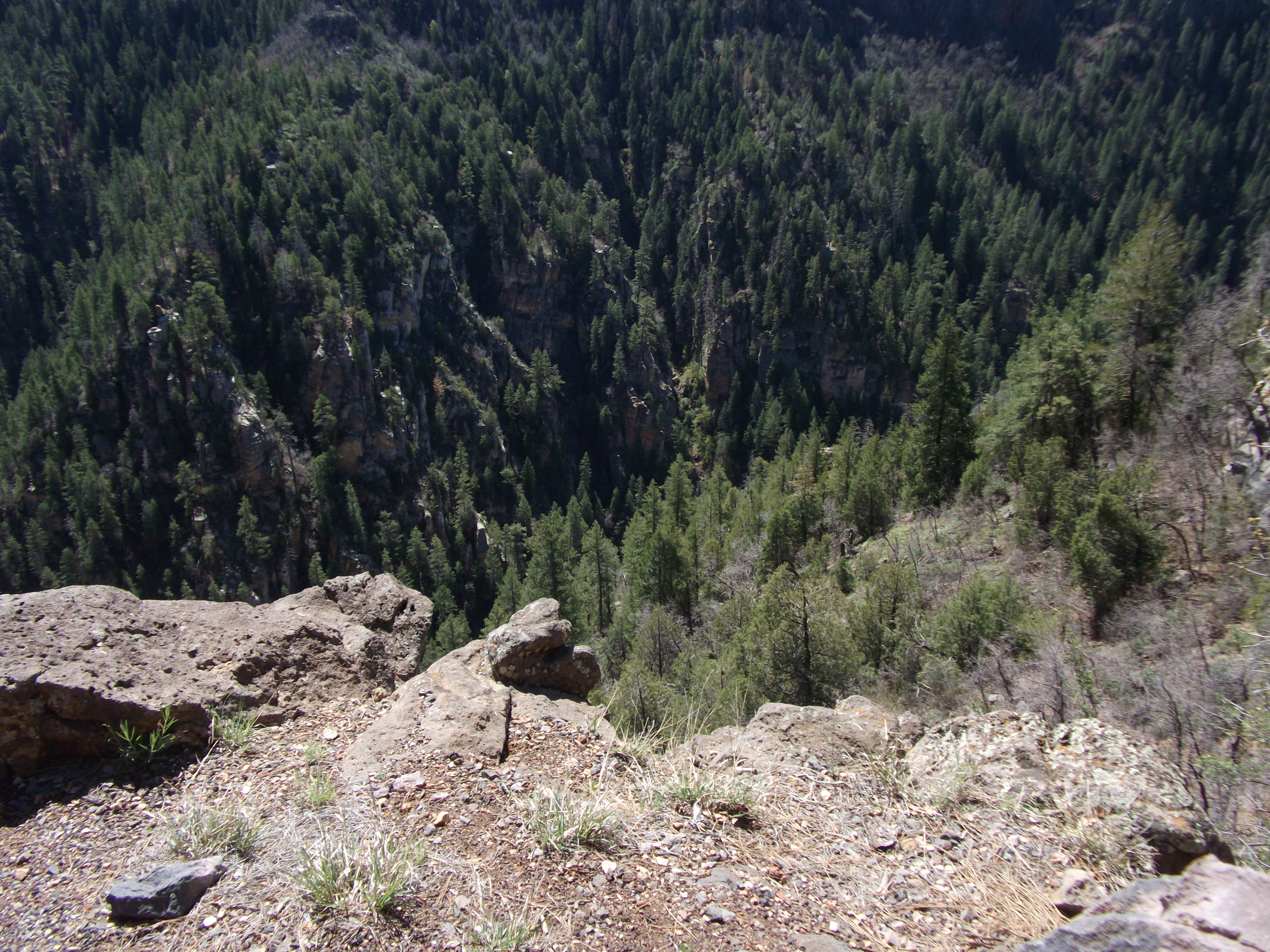 2012_04_27_oak_creek_canyon_sk_0043.jpg (large)
