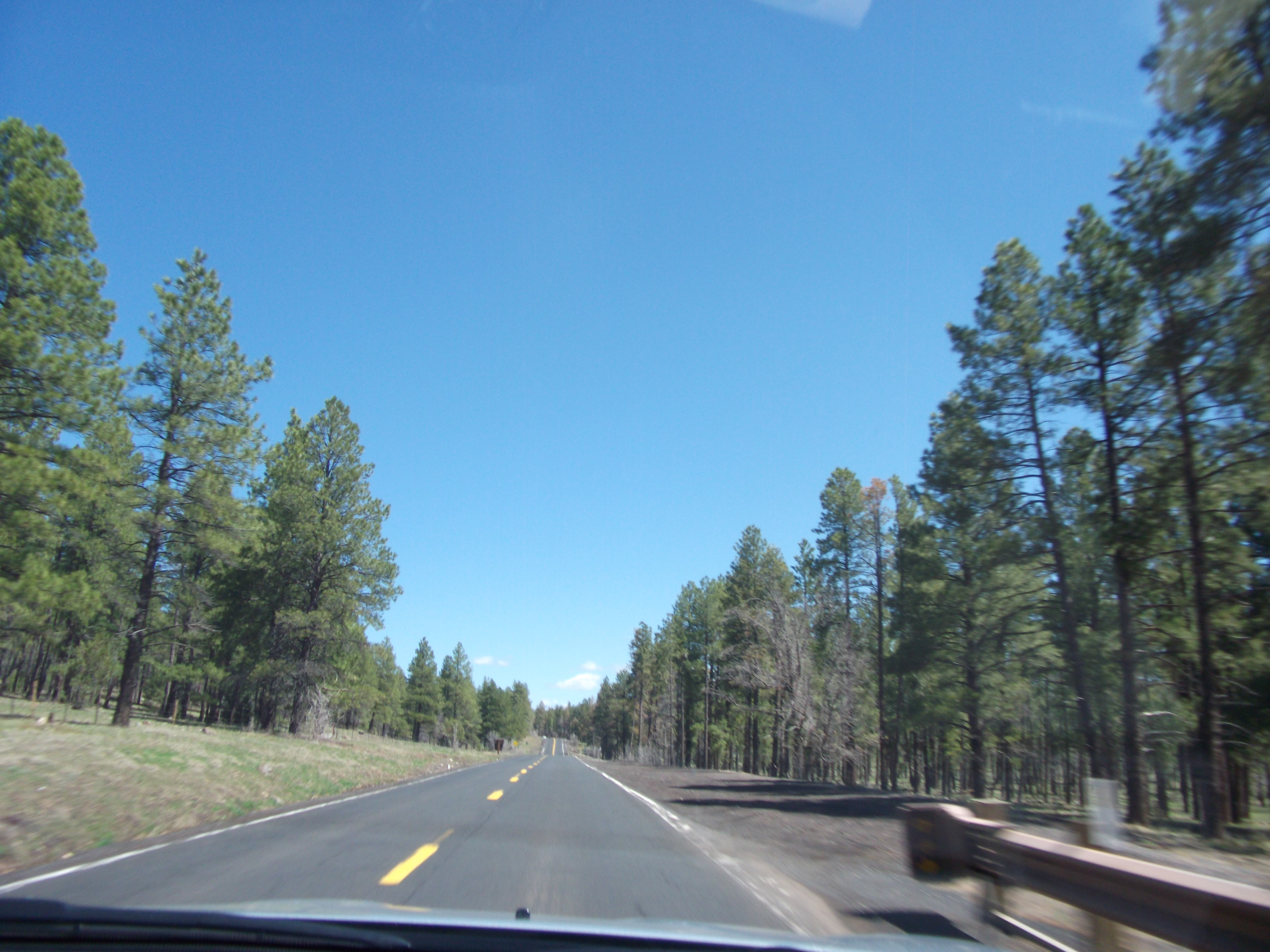 2012_04_27_flagstaff_sk_0001.jpg (large)