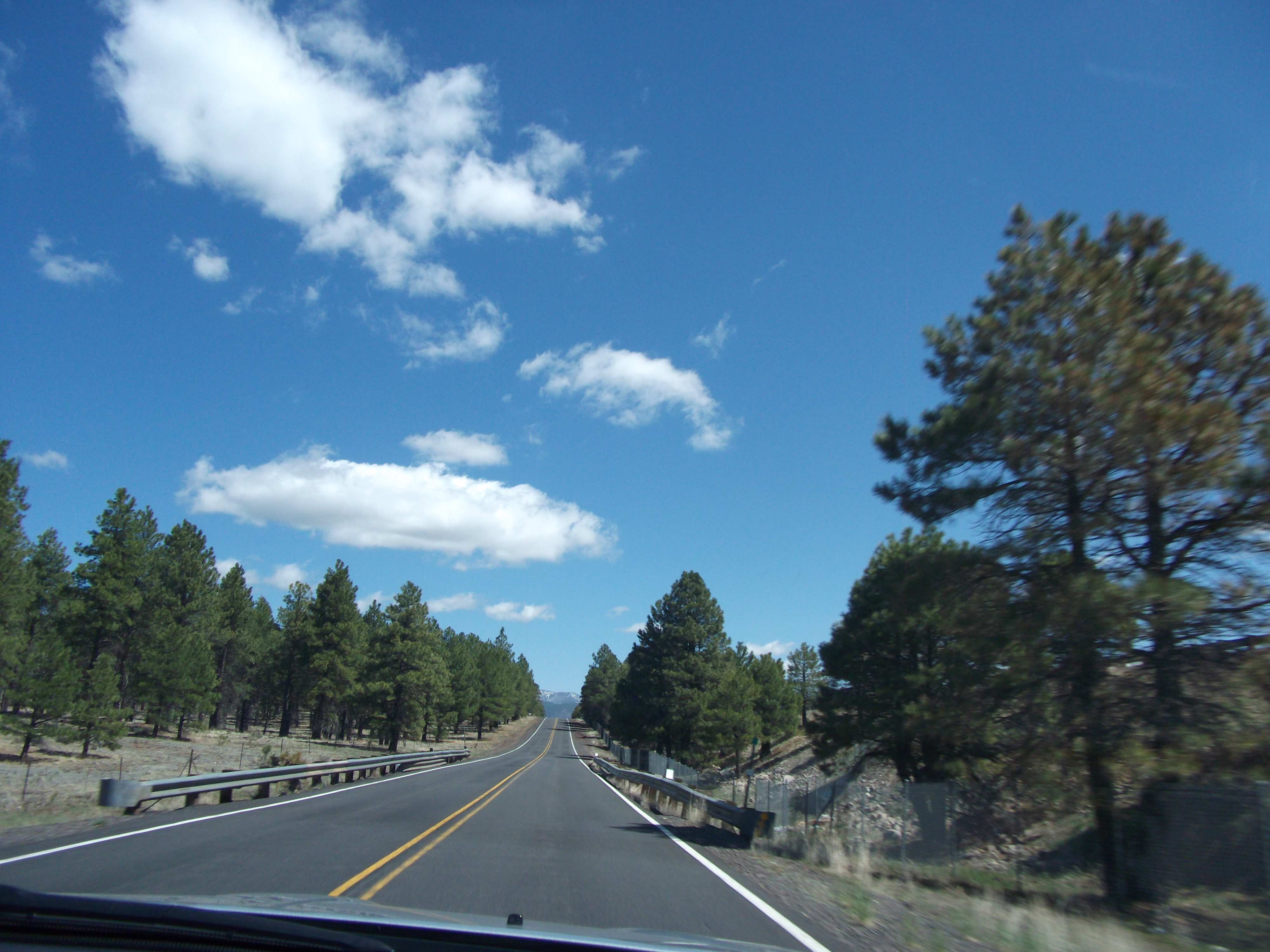 2012_04_27_flagstaff_sk_0003.jpg (large)