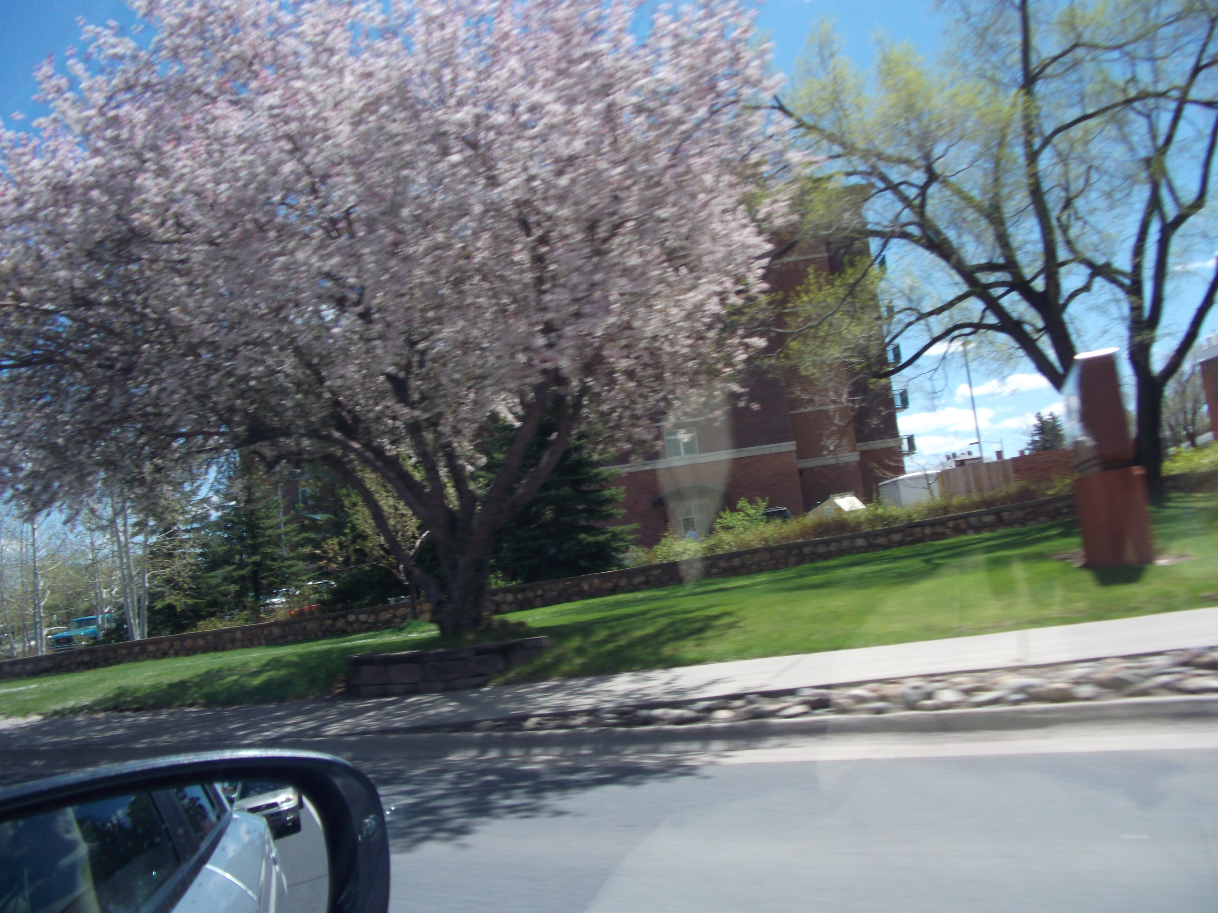 2012_04_27_flagstaff_sk_0010.jpg (large)