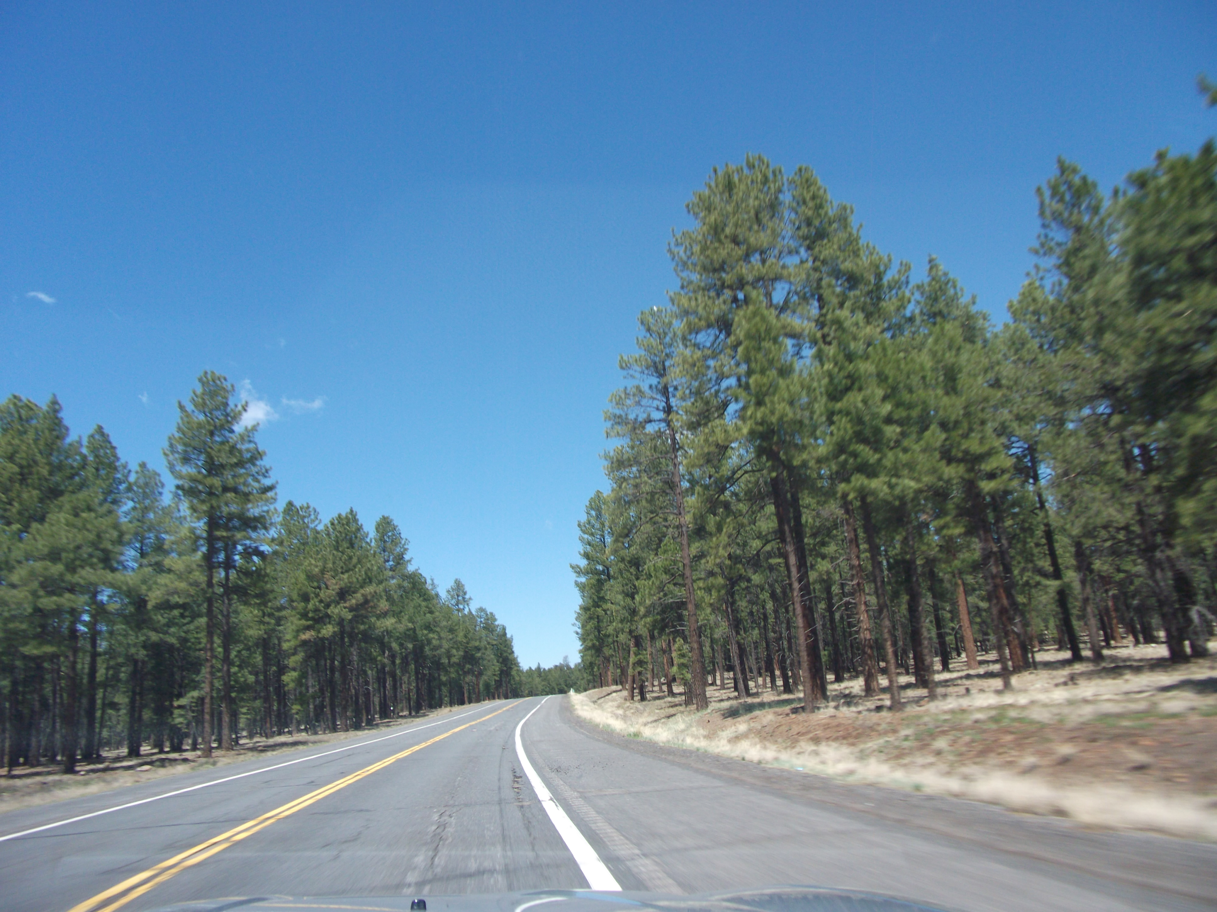 2012_04_27_flagstaff_sk_0022.jpg (large)