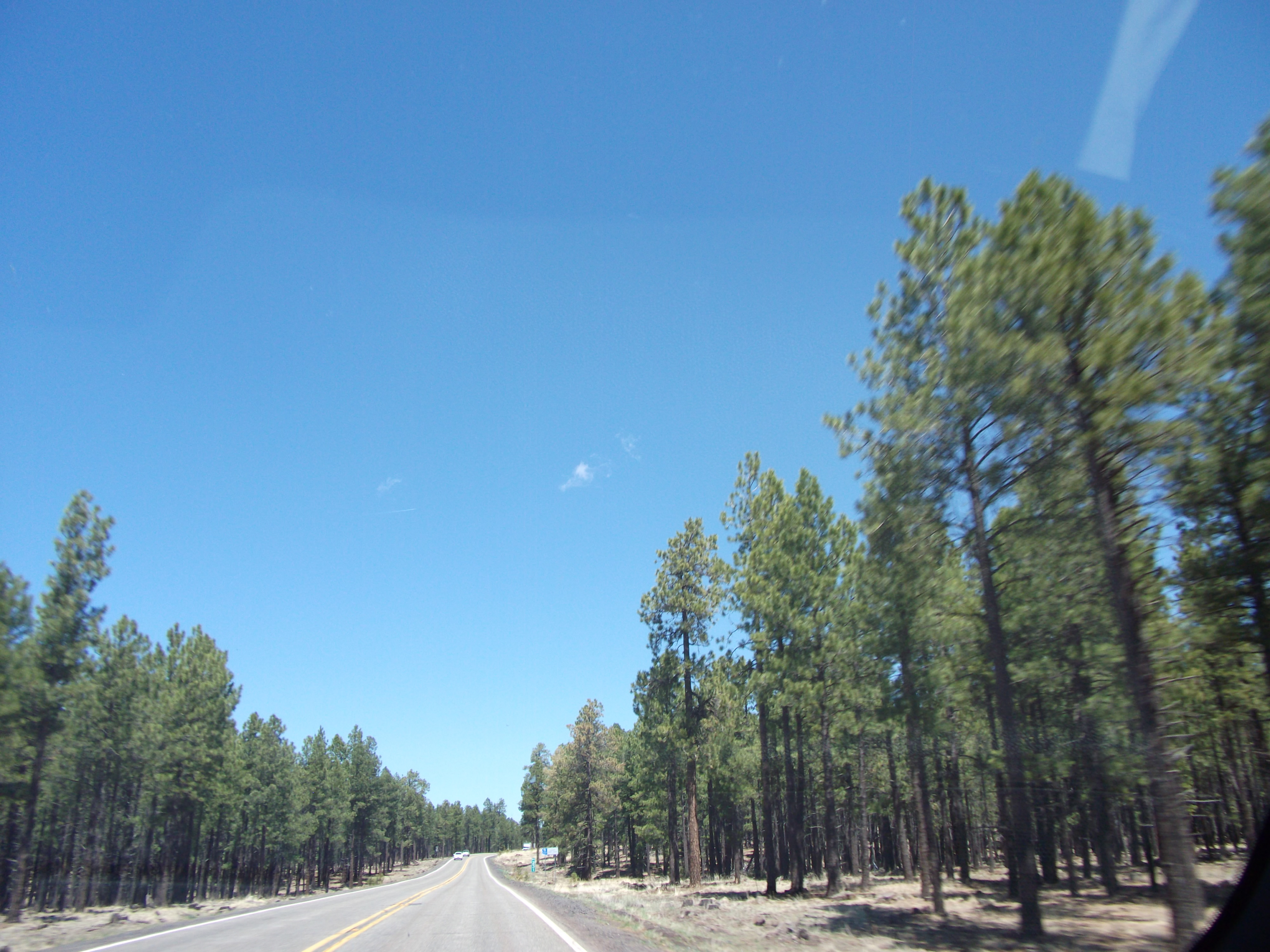 2012_04_27_flagstaff_sk_0026.jpg (large)