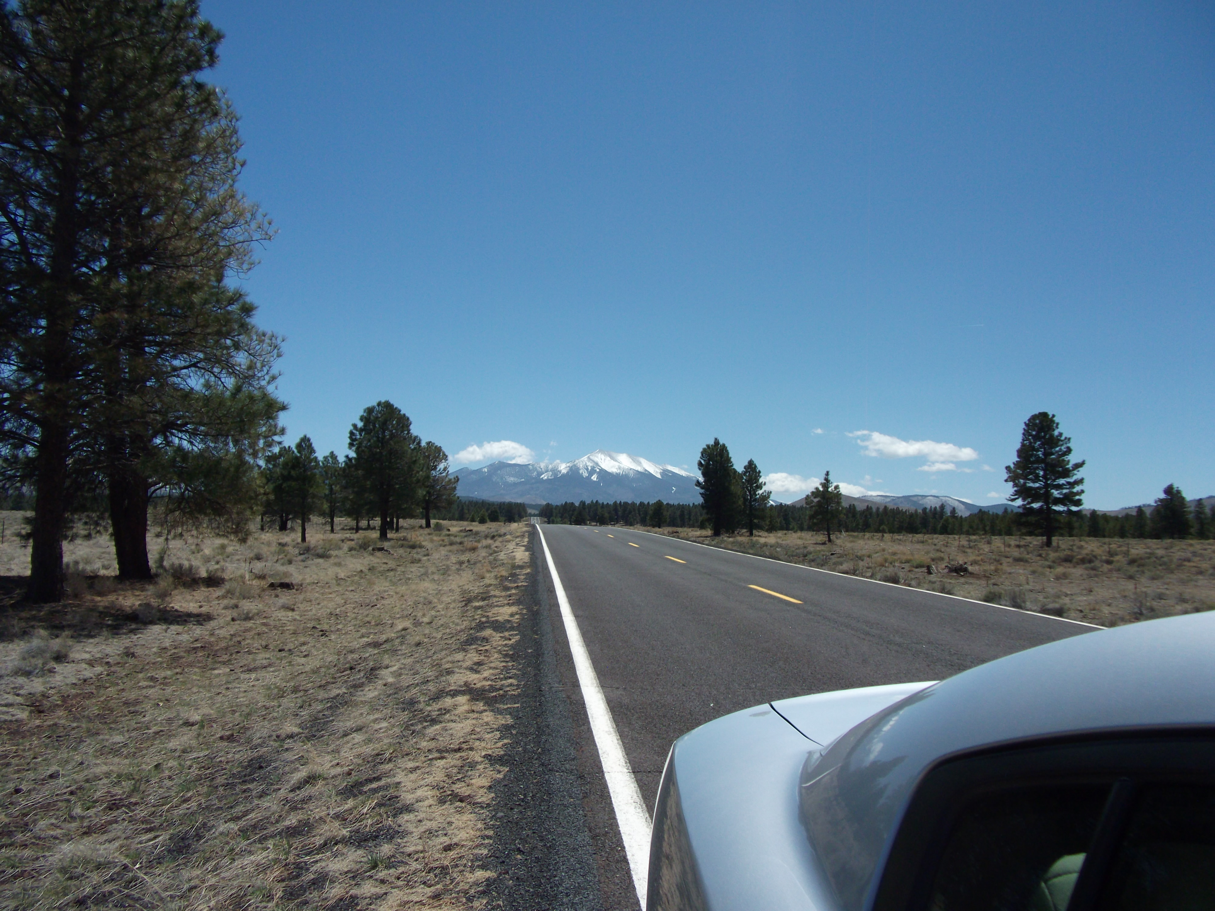 2012_04_27_flagstaff_sk_0031.jpg (large)