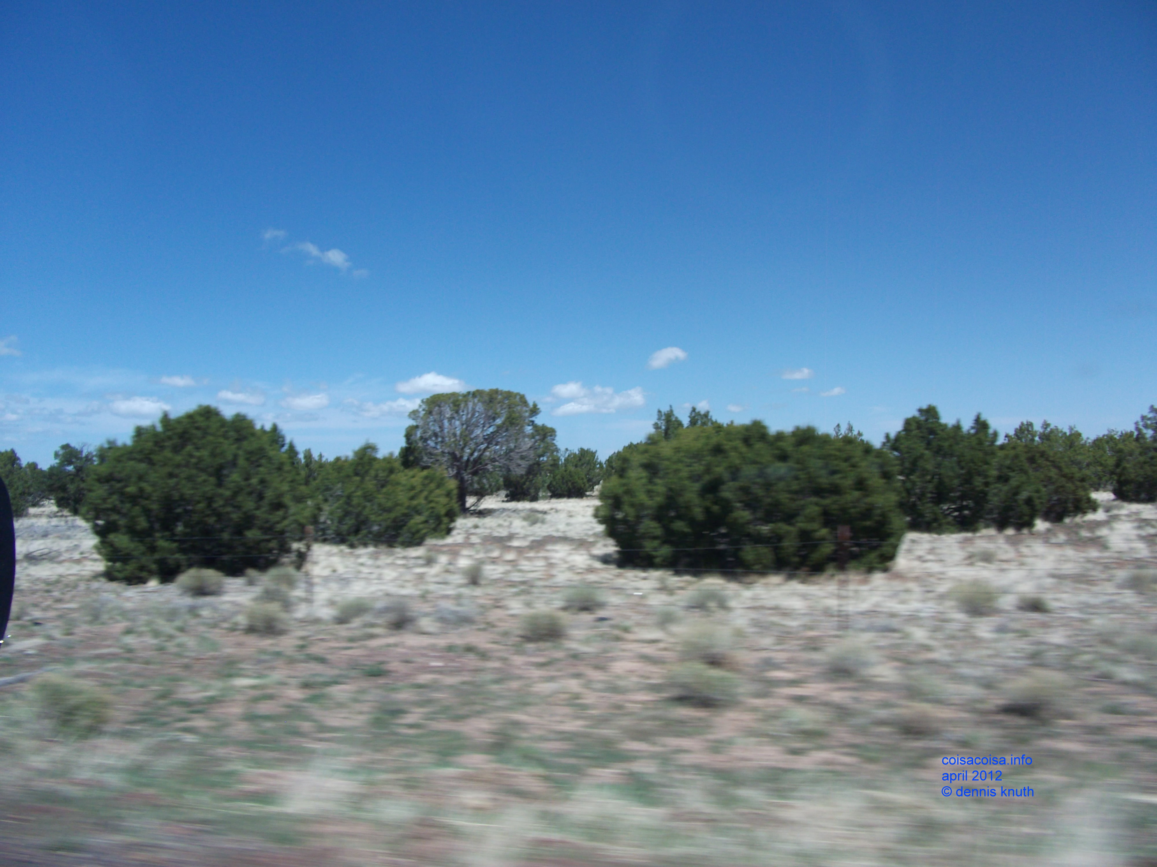 Whizzing by desert bushes near Flagstaff