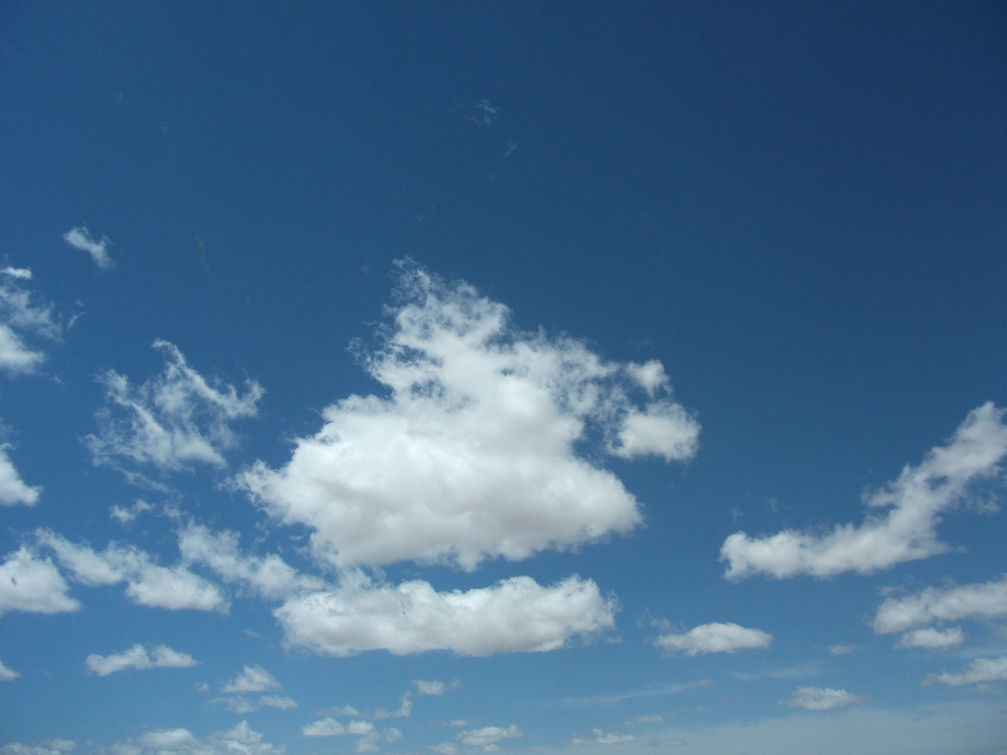 2012_04_27_flagstaff_sk_0039.jpg (large)