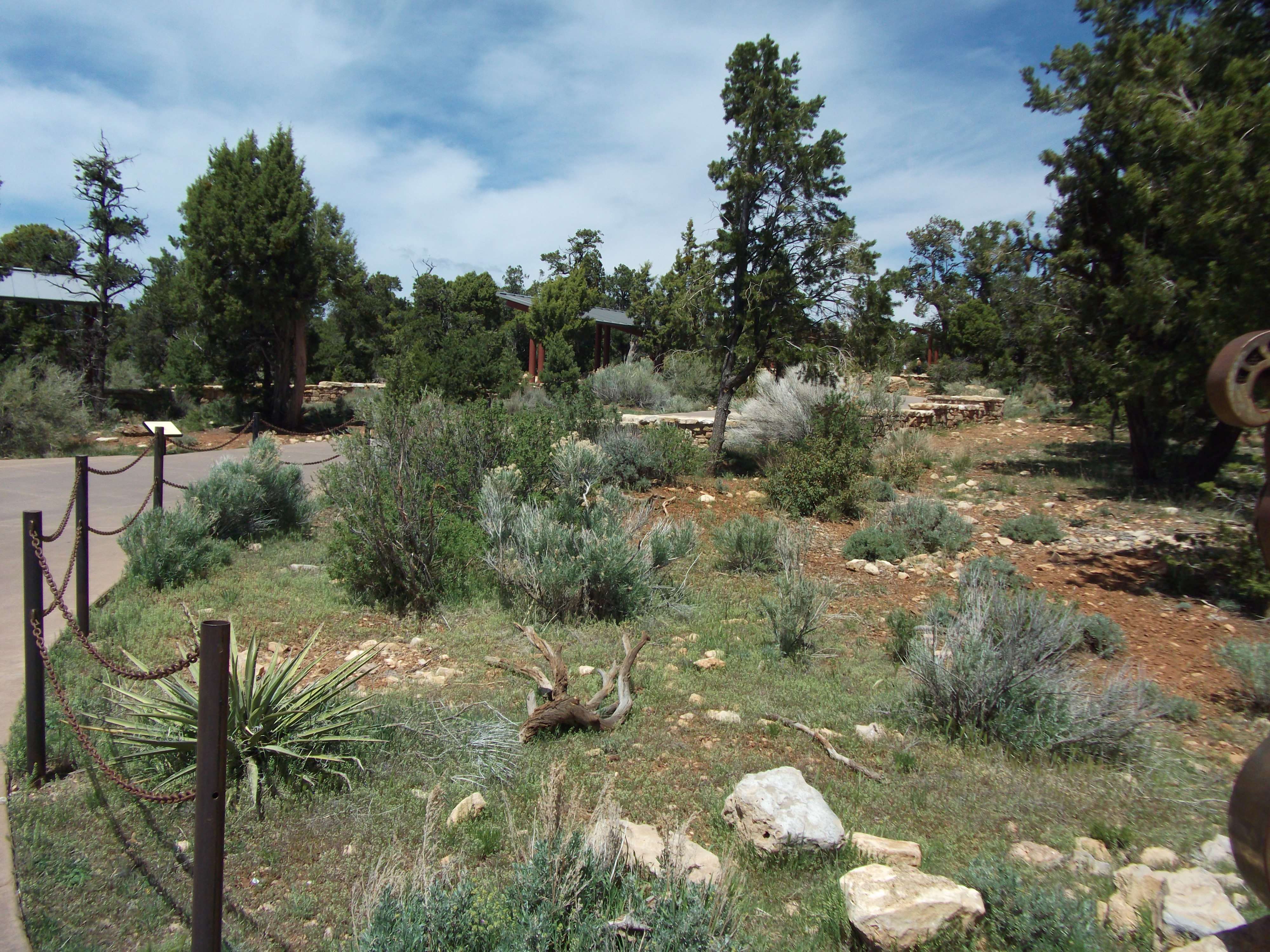 2012_04_27_grand_sk_0016.jpg (large)