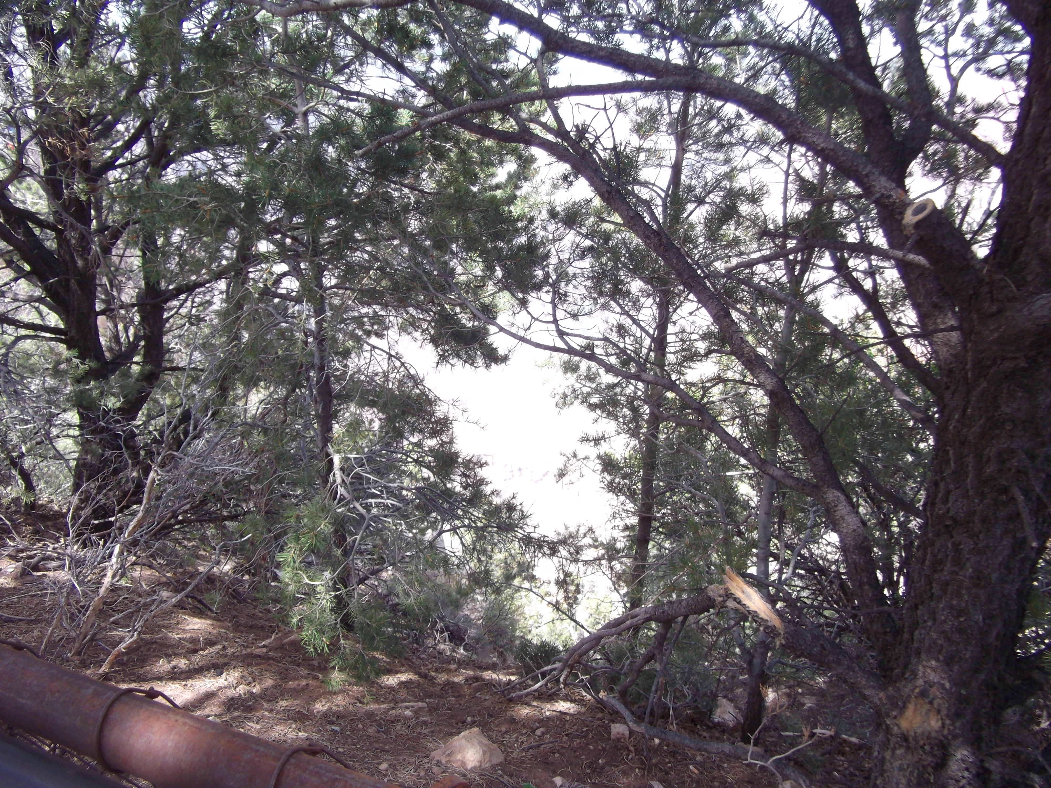 2012_04_27_grand_sk_0027.jpg (large)