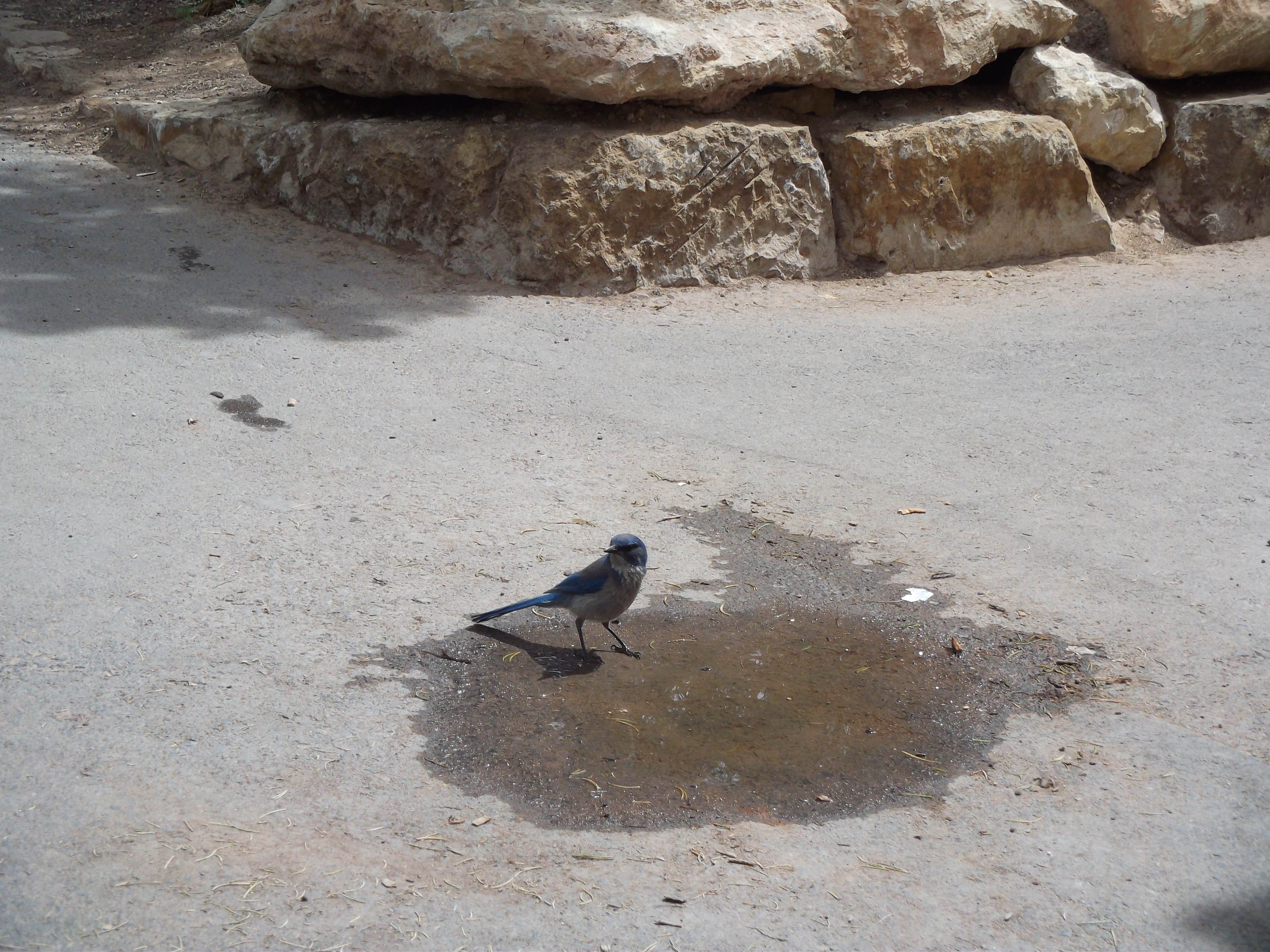 2012_04_27_grand_sk_0062.jpg (large)