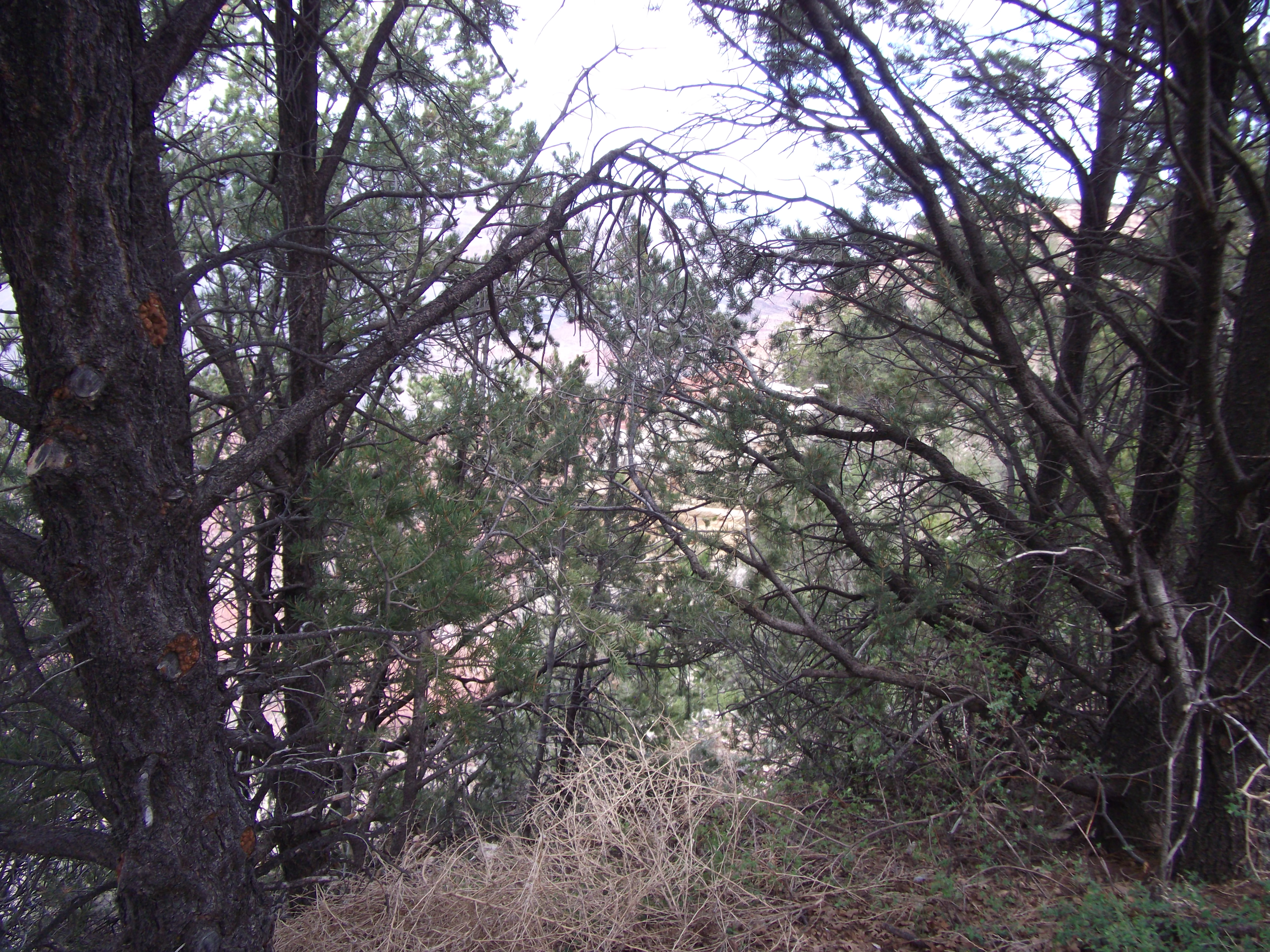 2012_04_27_grand_sk_0066.jpg (large)