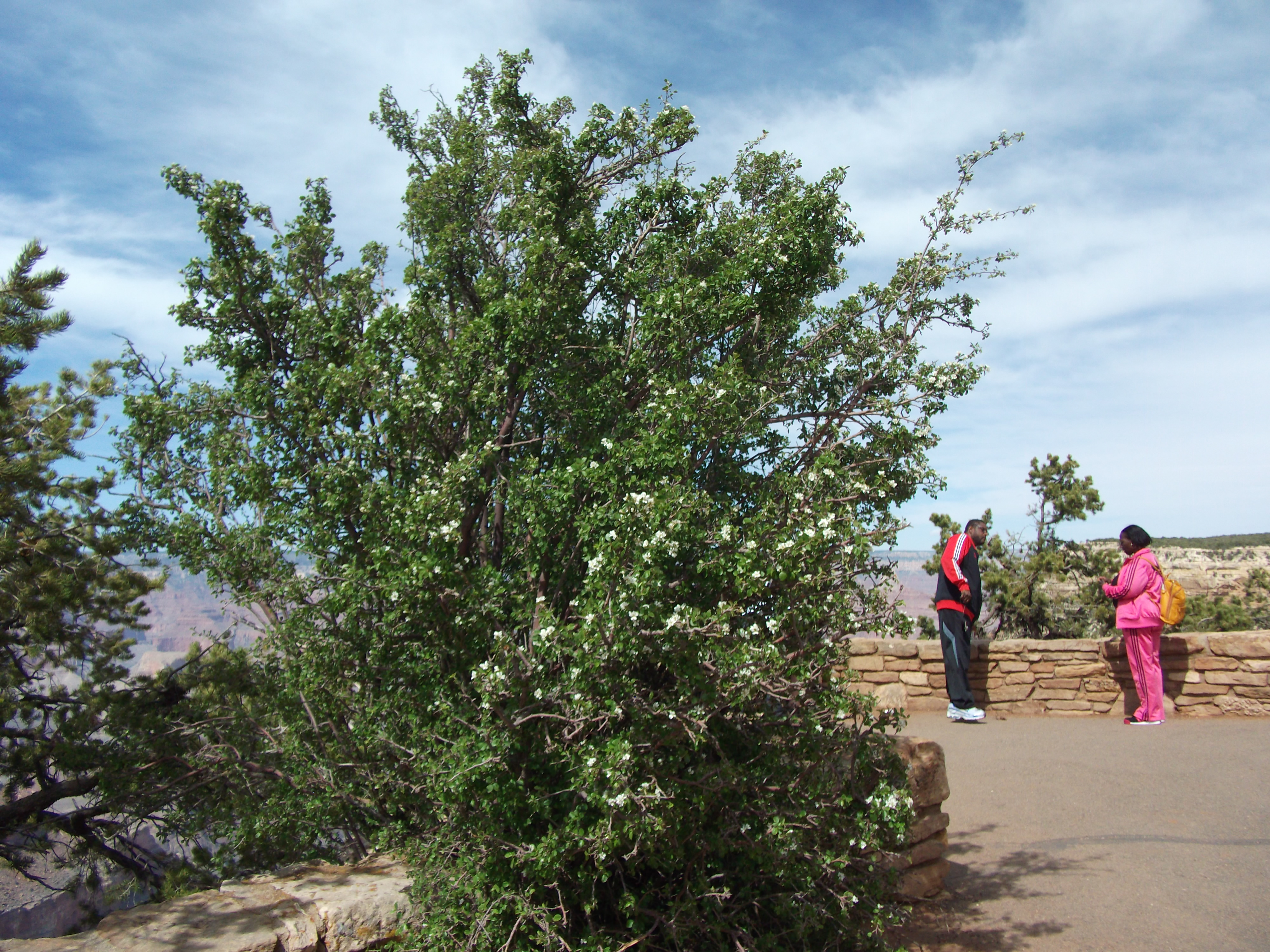 2012_04_27_grand_sk_0085.jpg (large)