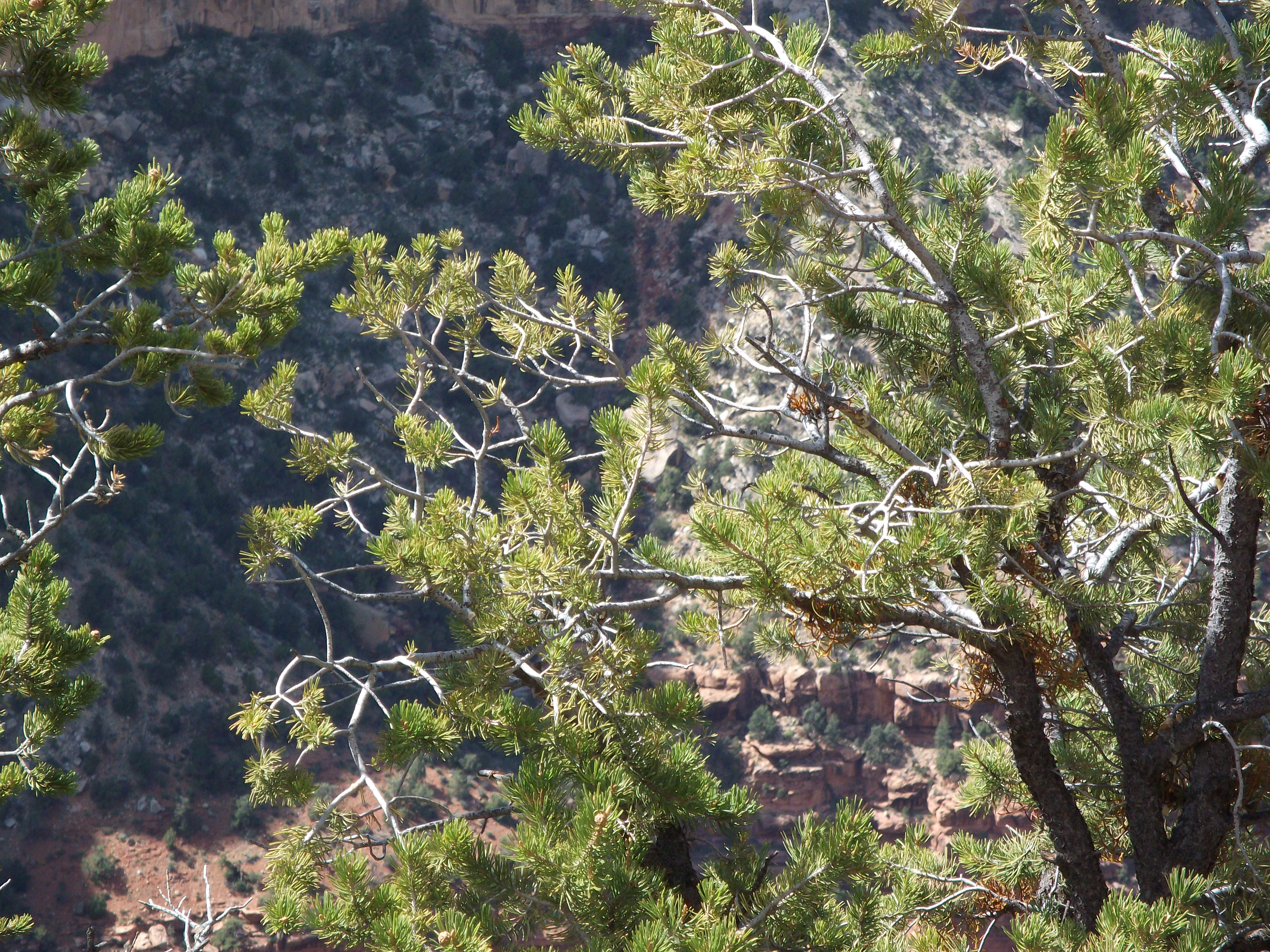 2012_04_27_grand_sk_0094.jpg (large)