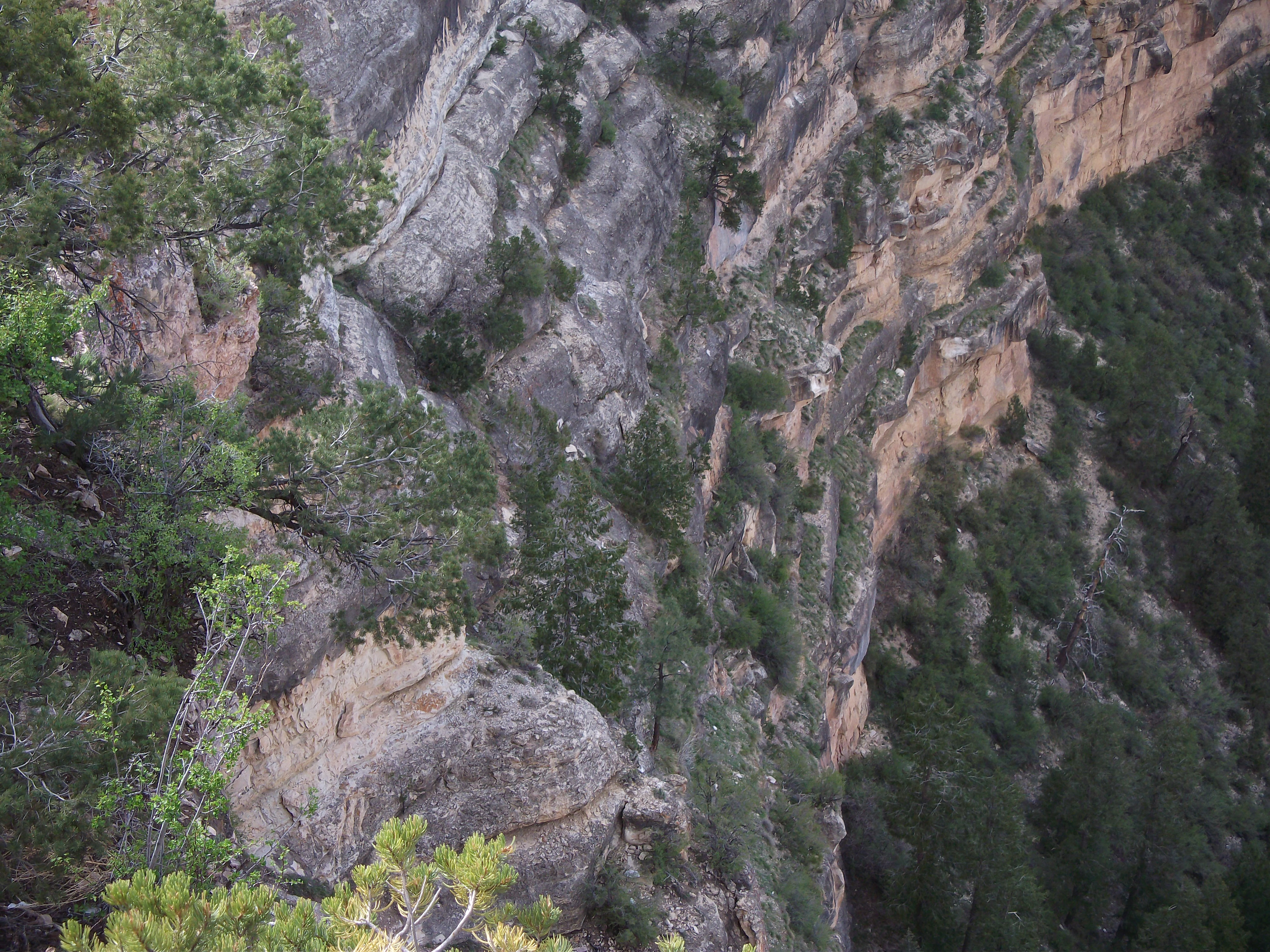 2012_04_27_grand_sk_0123.jpg (large)