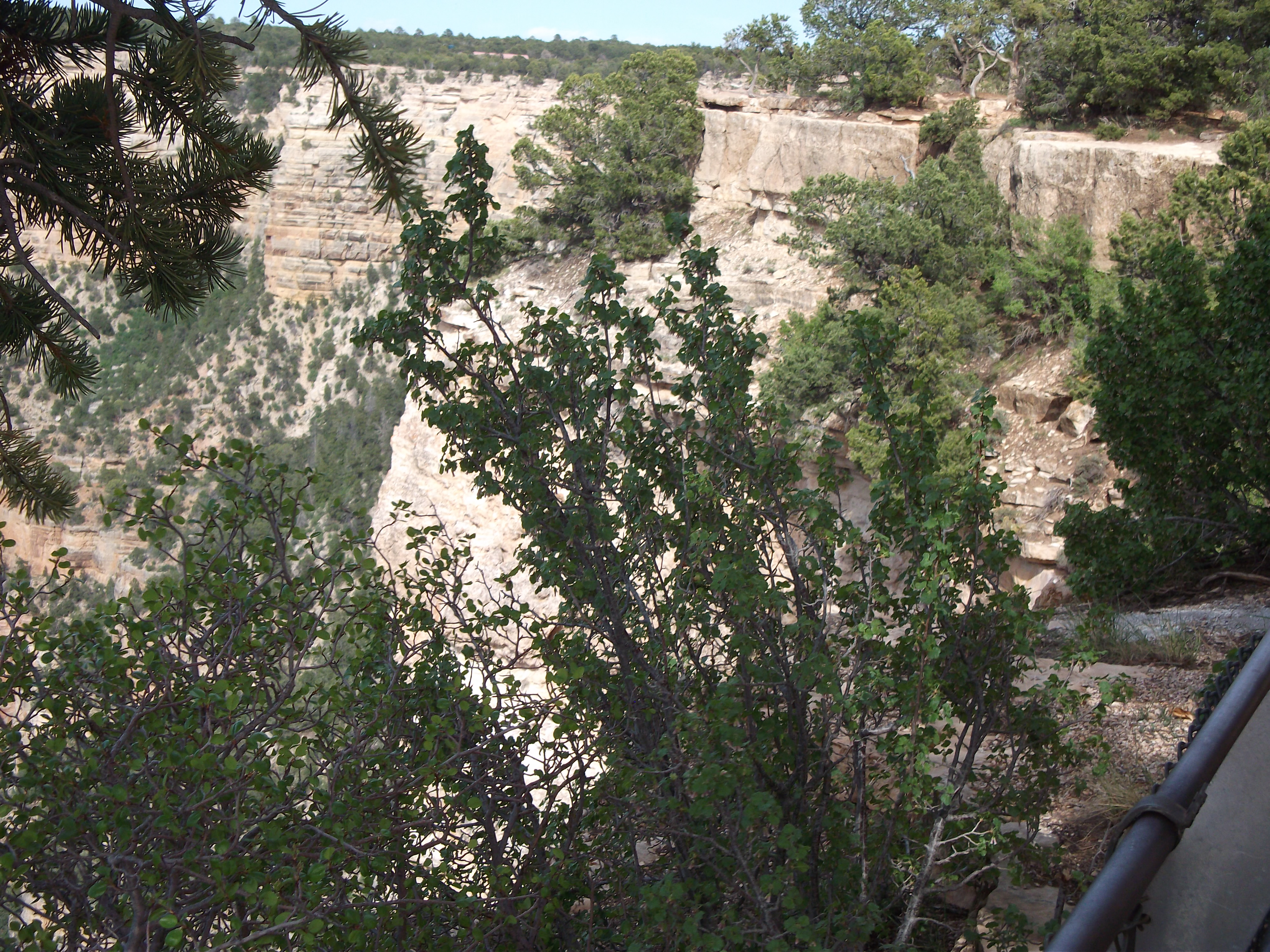 2012_04_27_grand_sk_0125.jpg (large)