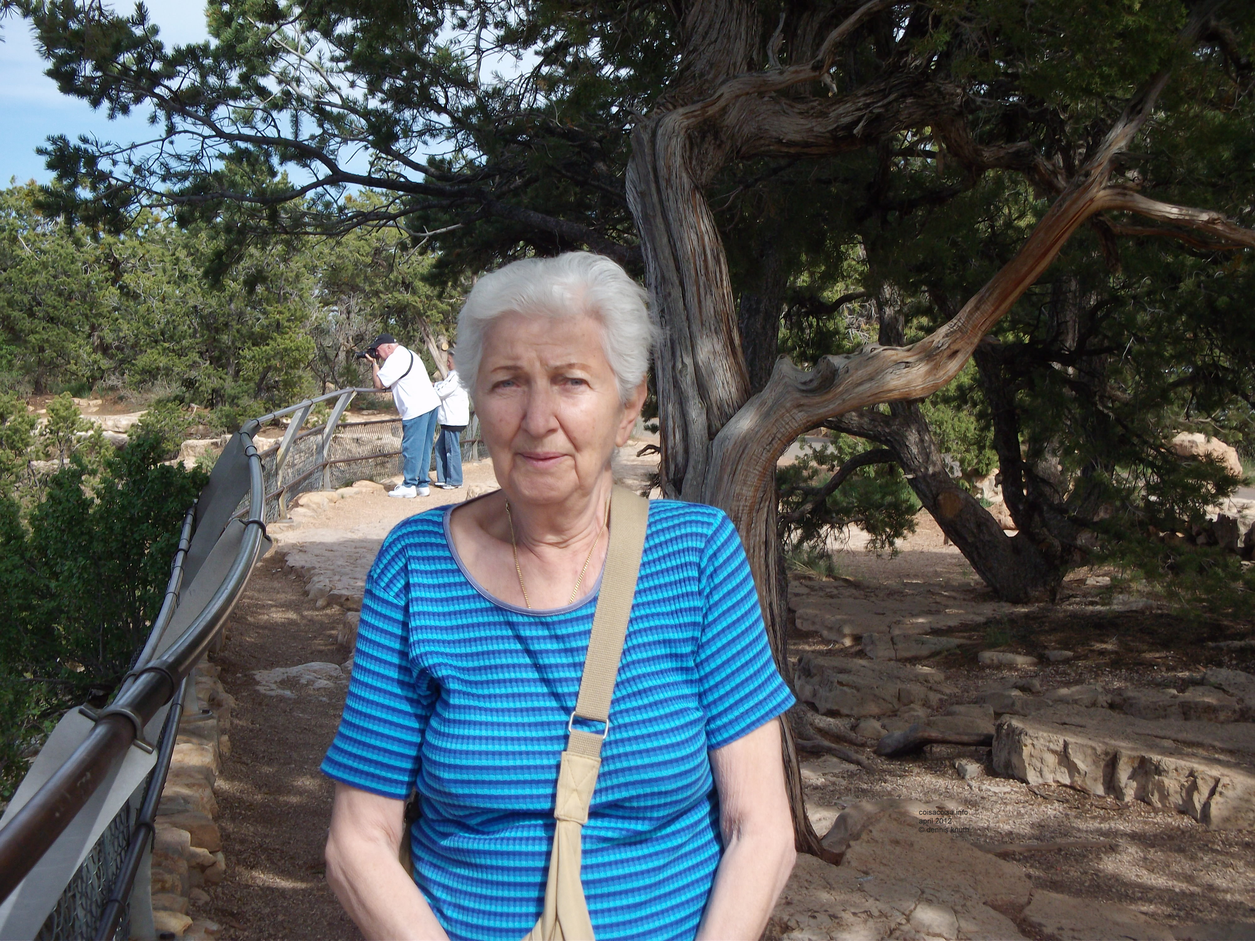 Stella in the shade at the Grand Canyon