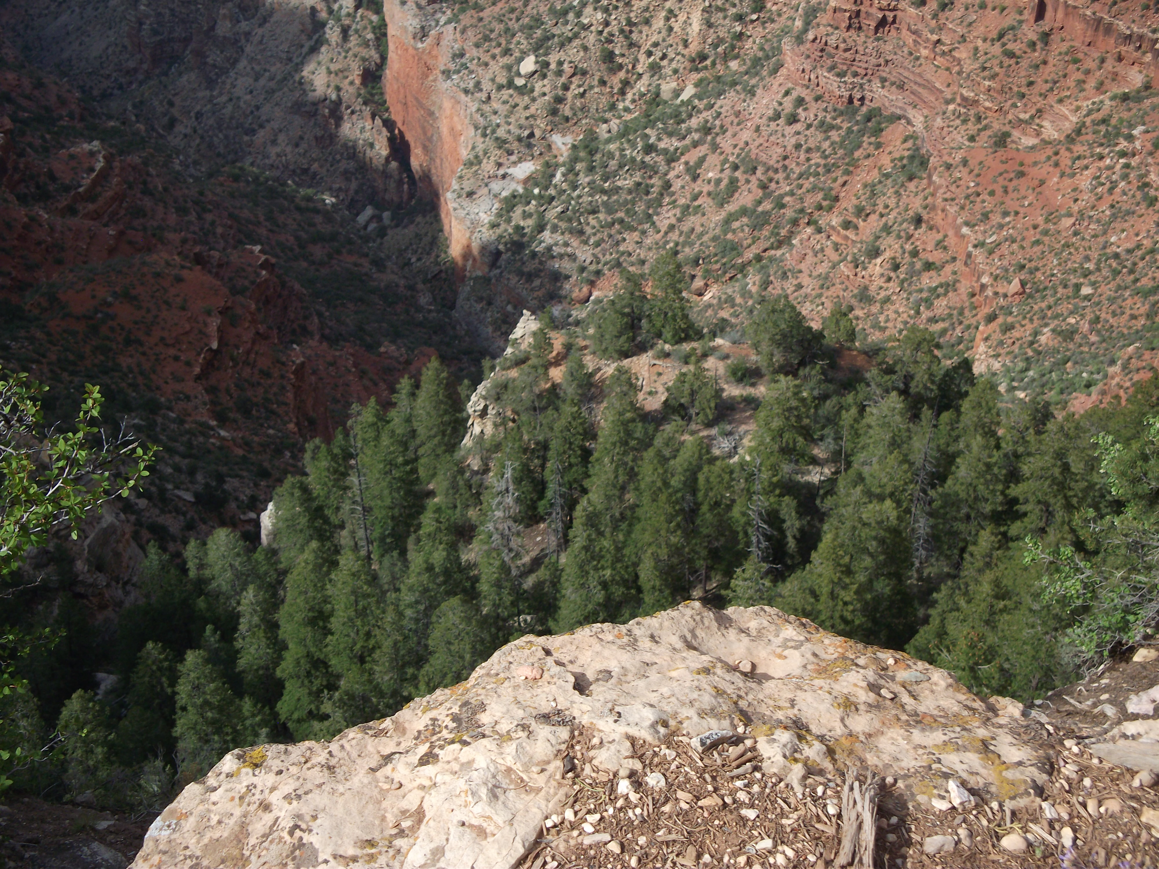 2012_04_27_grand_sk_0133.jpg (large)