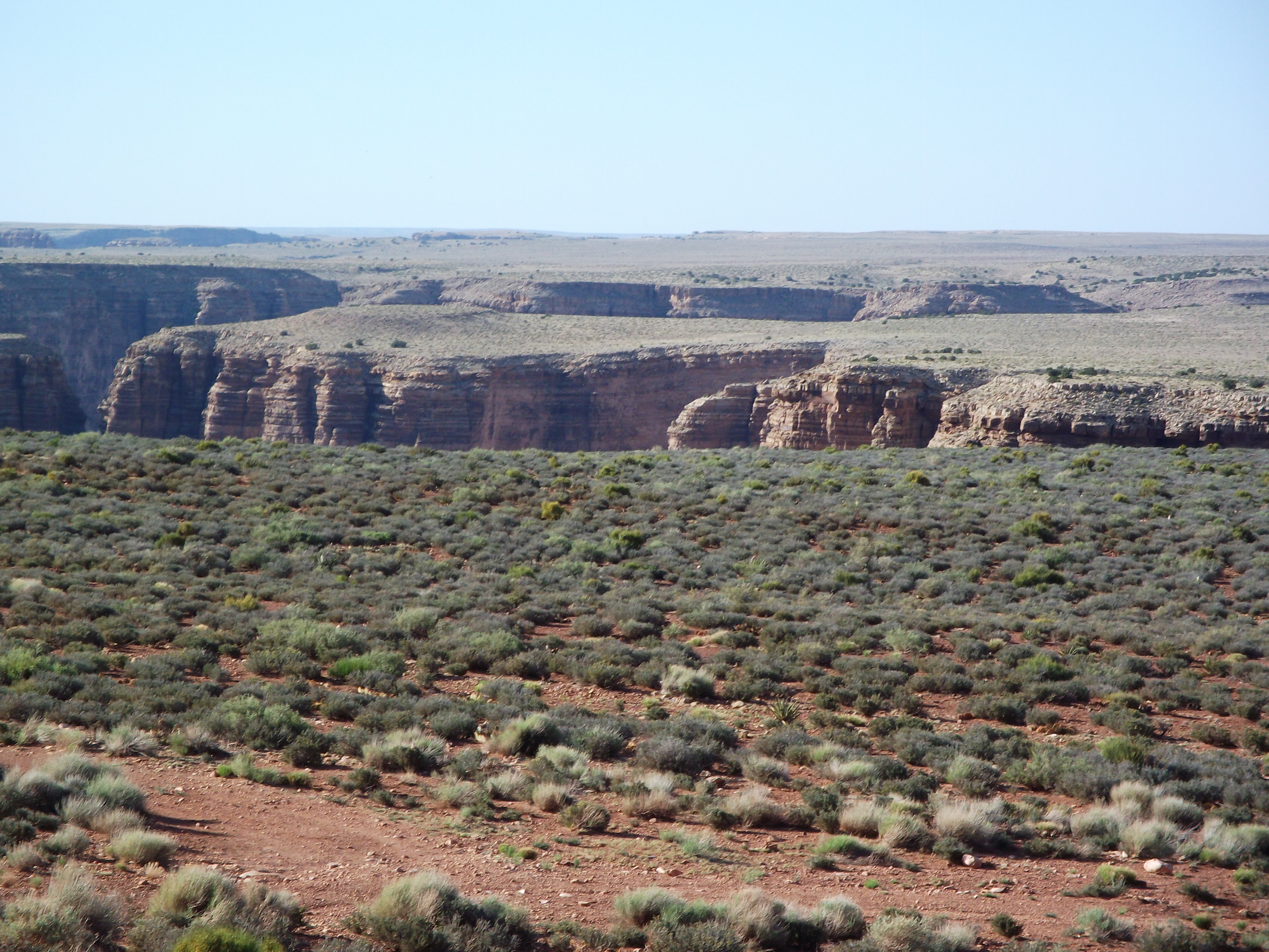 2012_04_27_painted_desert_sk_0031.jpg (large)
