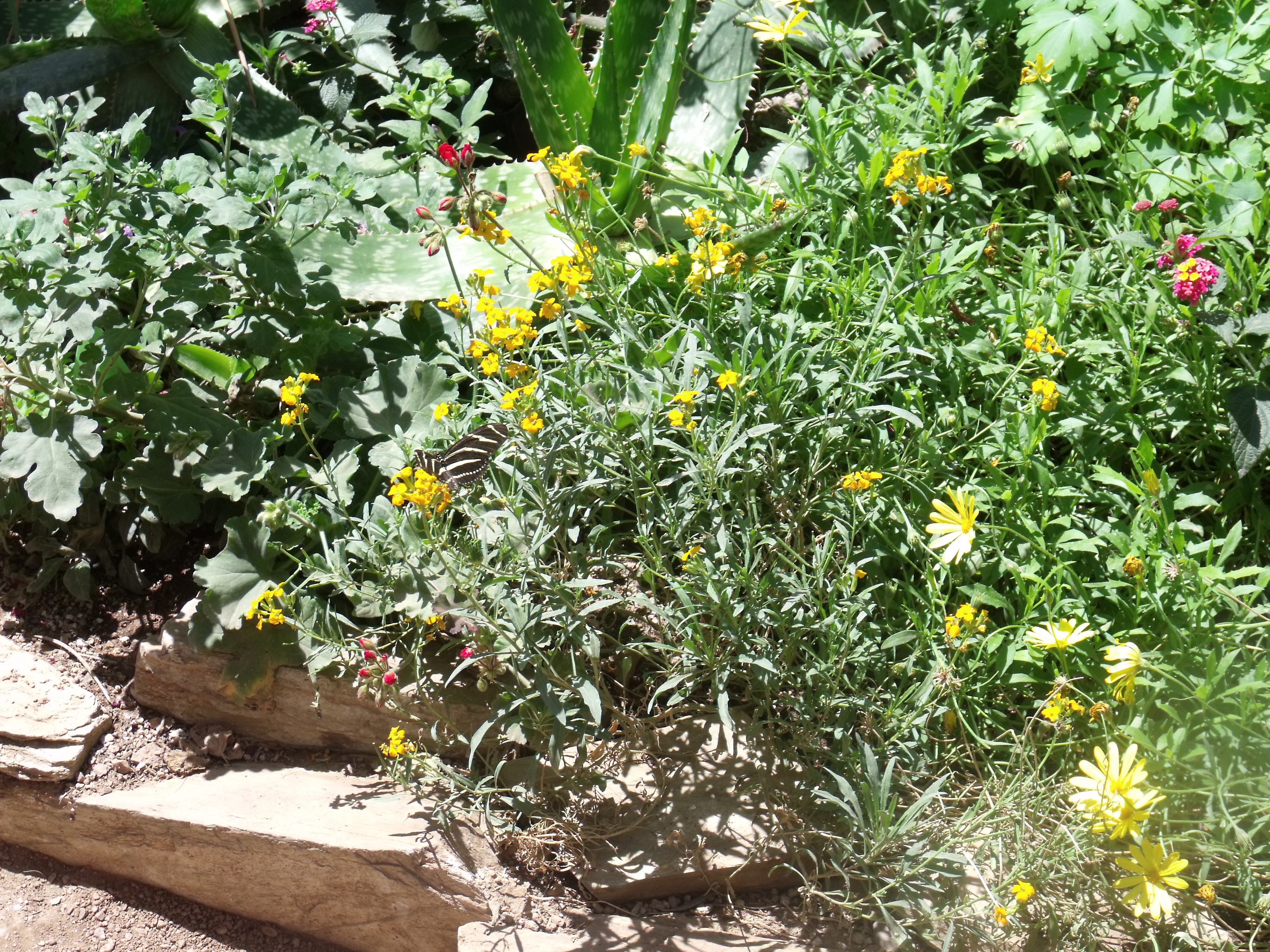 2012_04_28_botanical_dk_0015.jpg (large)