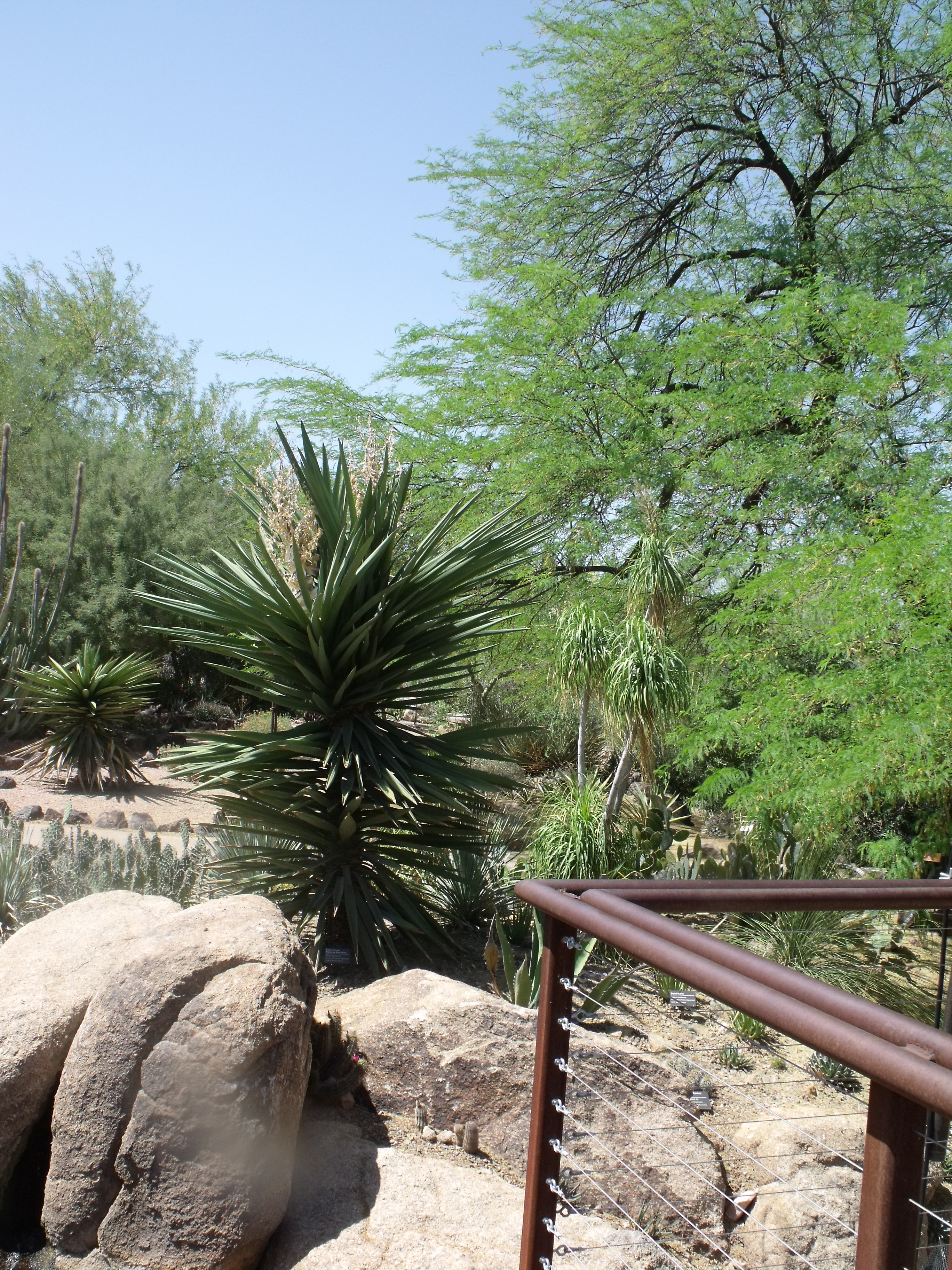 2012_04_28_botanical_dk_0017.jpg (large)