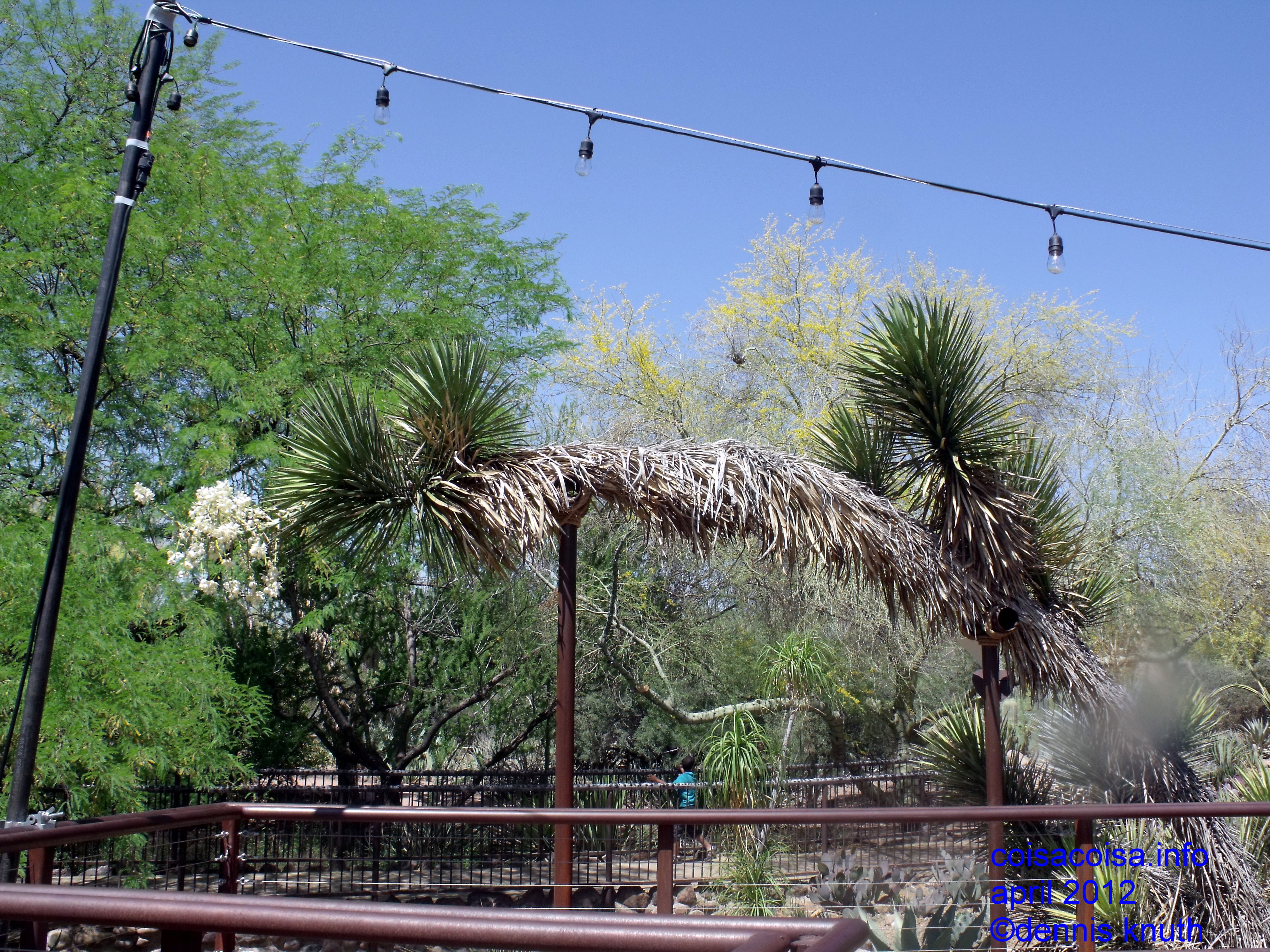 Bothanical Garden night lighting