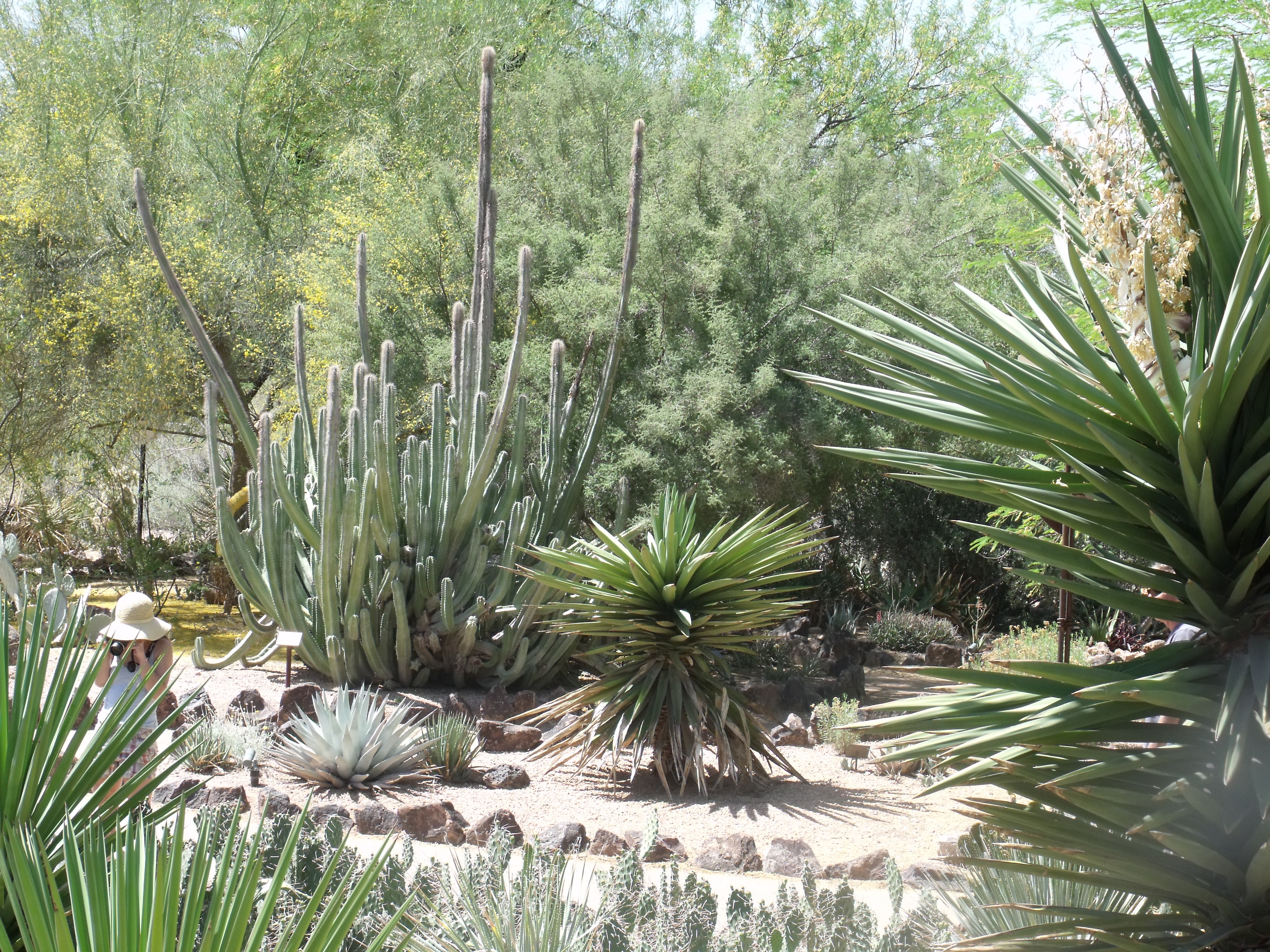 2012_04_28_botanical_dk_0022.jpg (large)