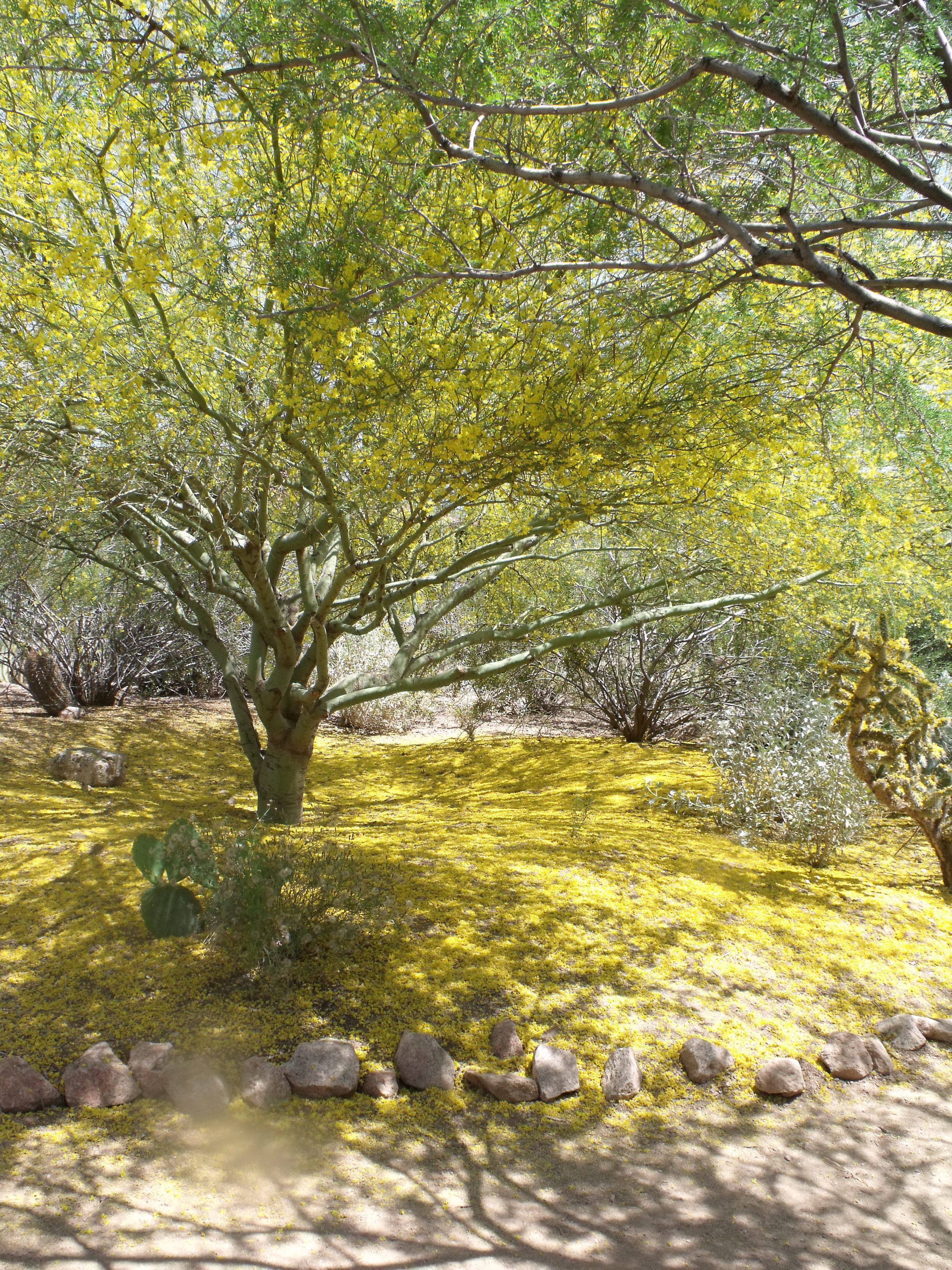 2012_04_28_botanical_dk_0041.jpg (large)