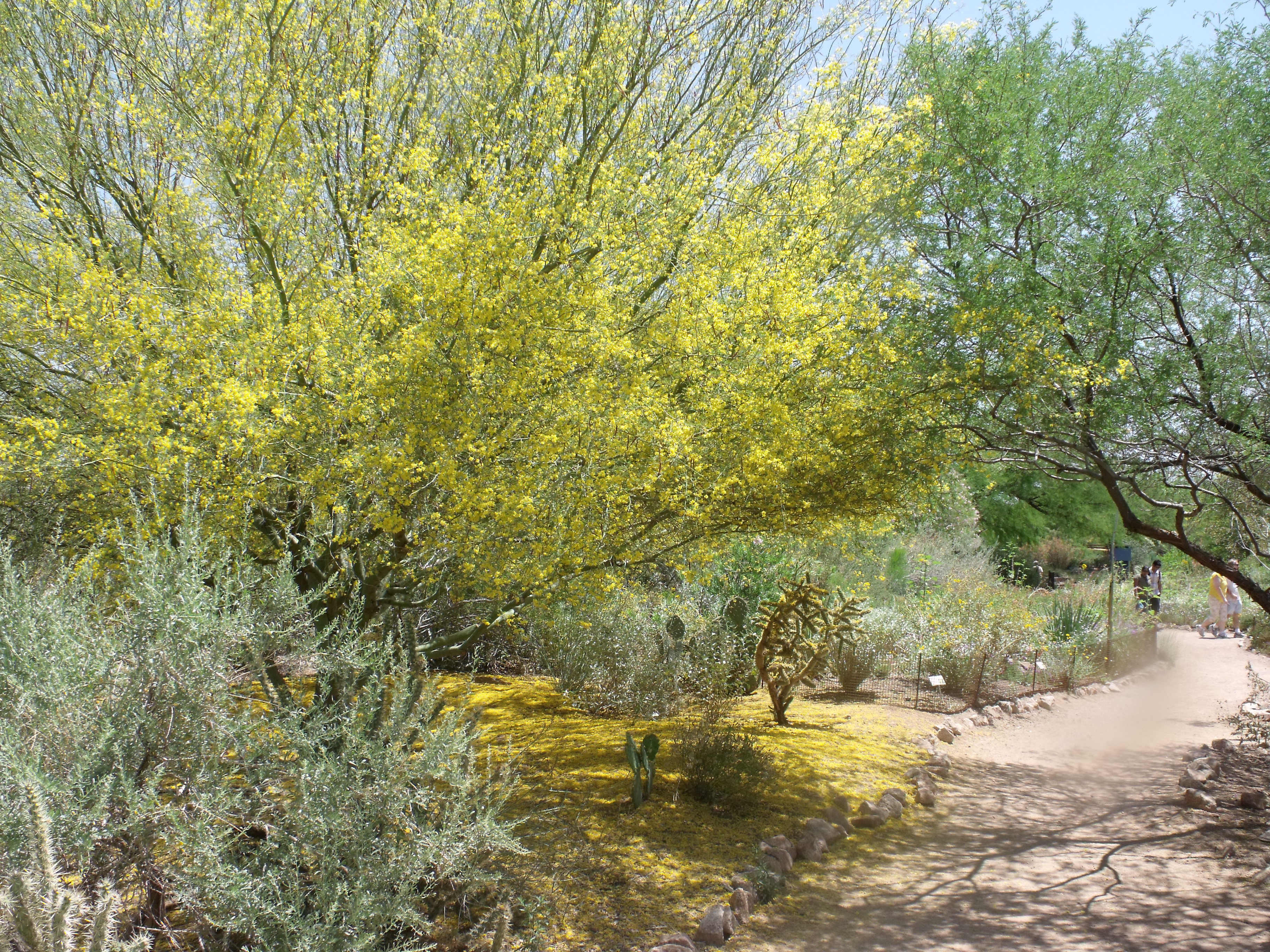 2012_04_28_botanical_dk_0042.jpg (large)