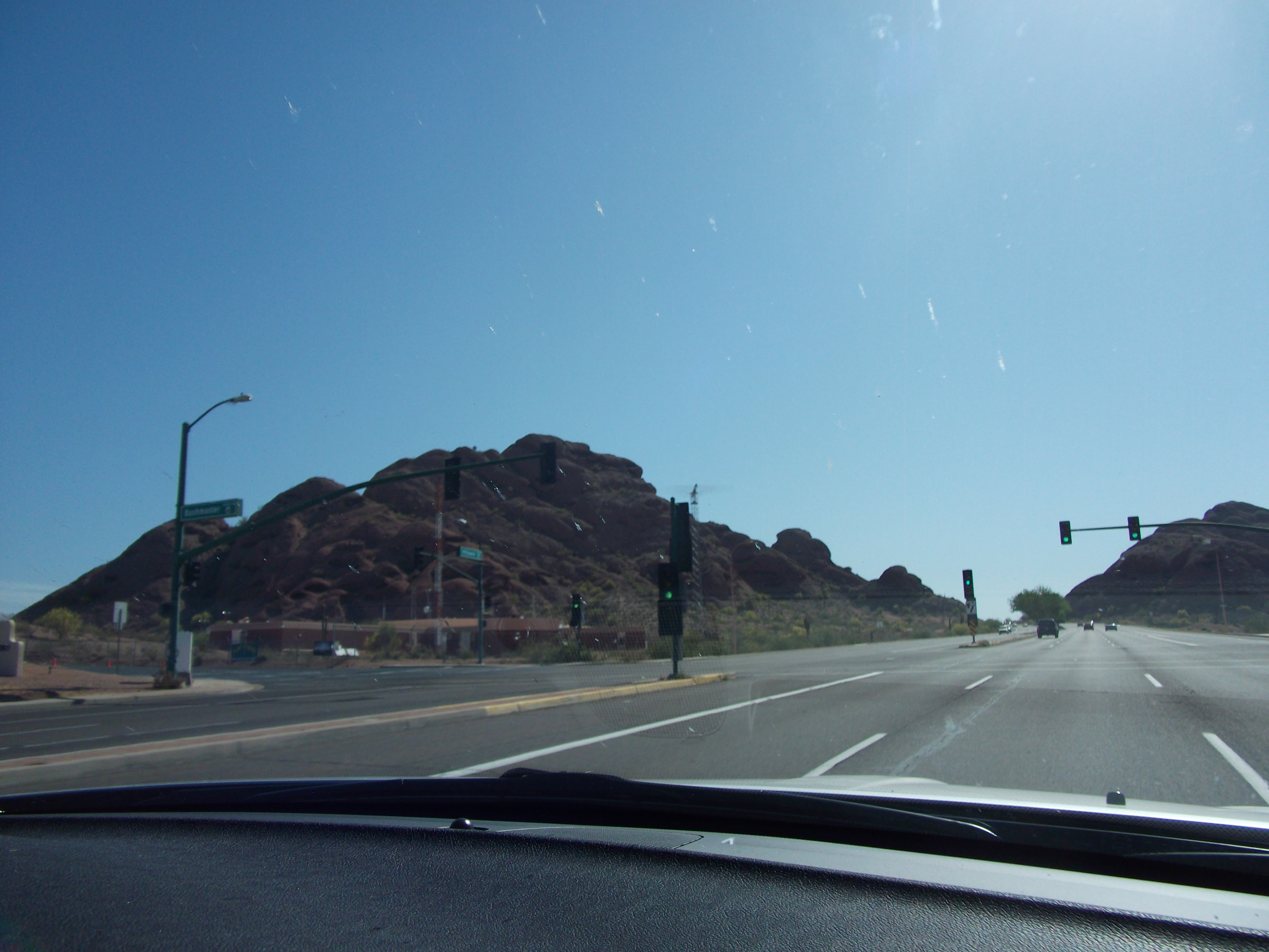 2012_04_28_botanical_sk_0001.jpg (large)