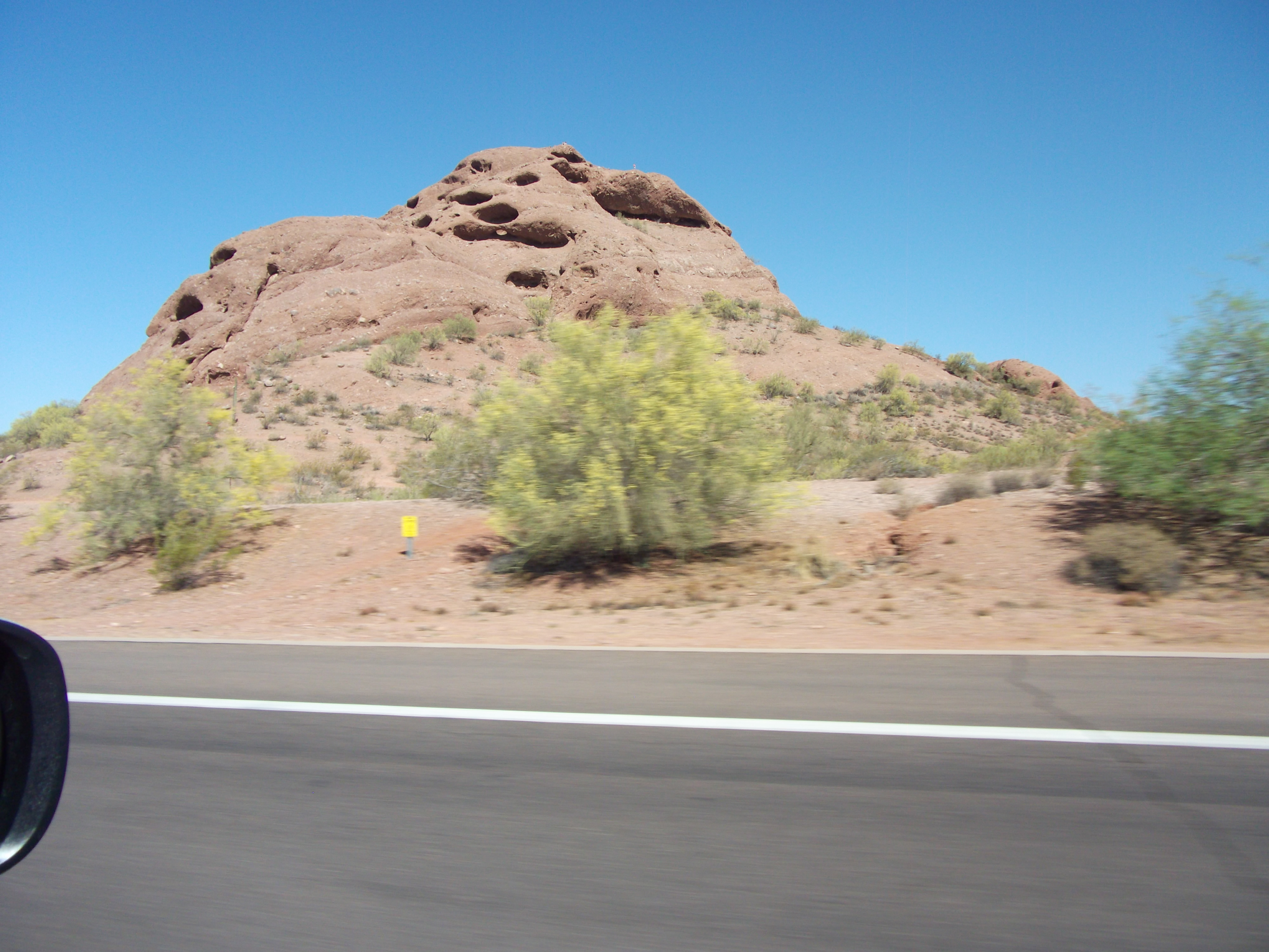 2012_04_28_botanical_sk_0004.jpg (large)