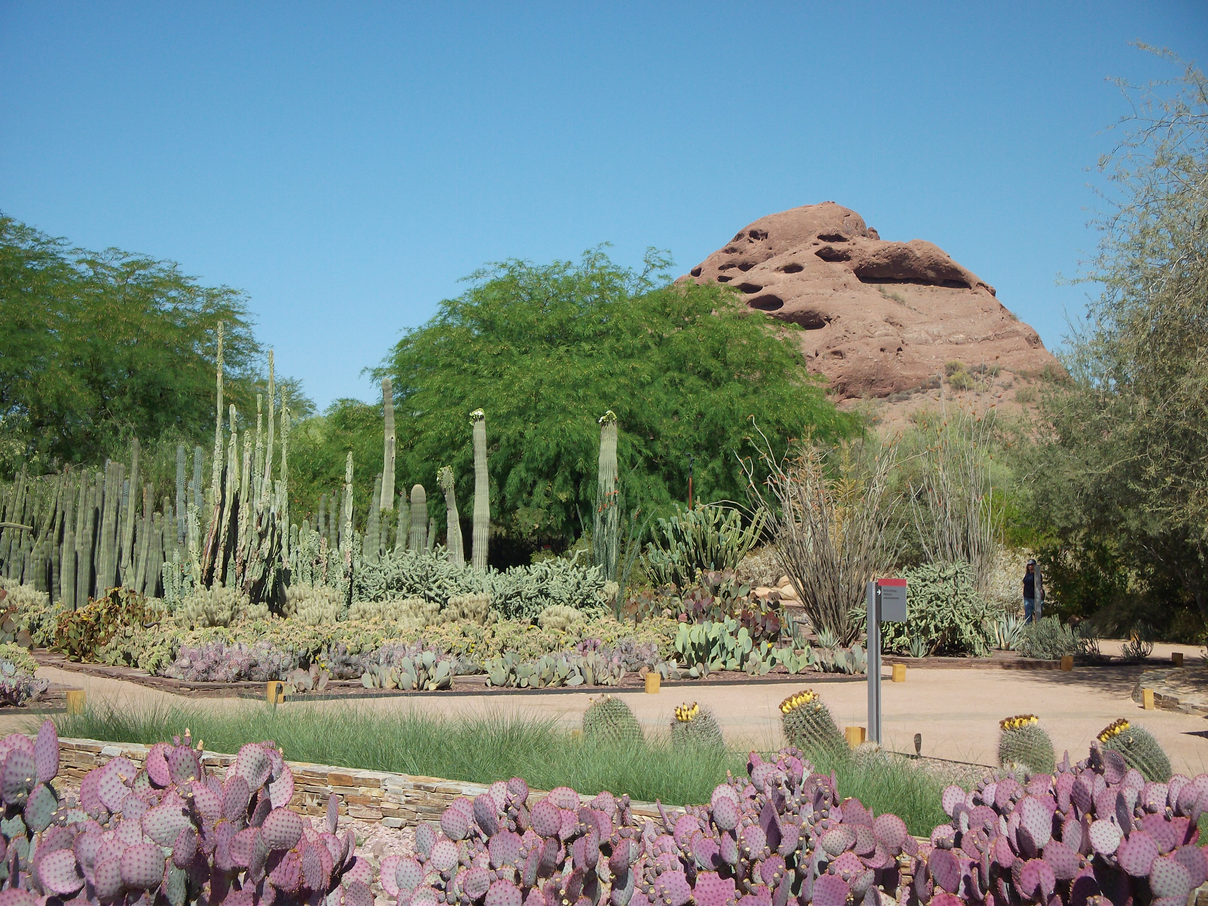 2012_04_28_botanical_sk_0008.jpg (large)