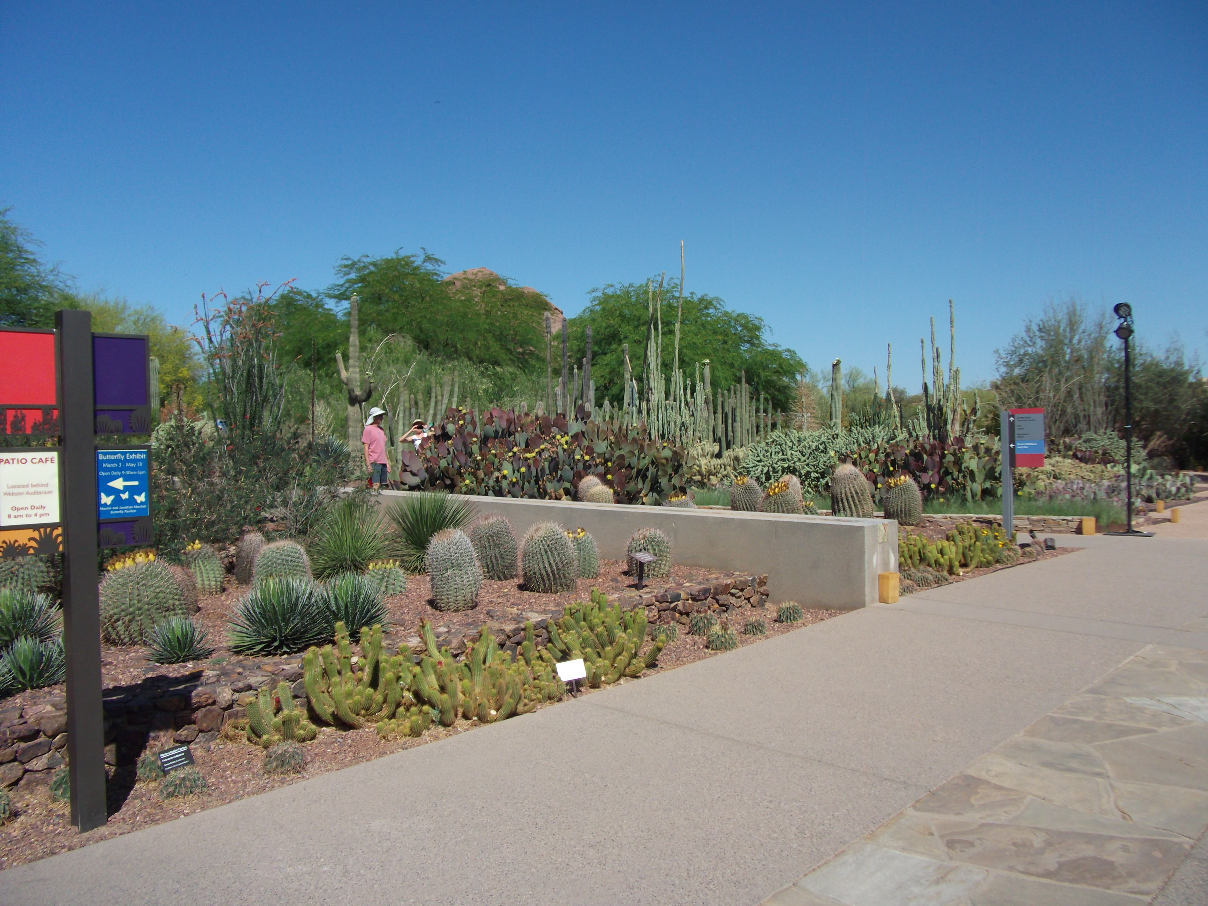 2012_04_28_botanical_sk_0010.jpg (large)