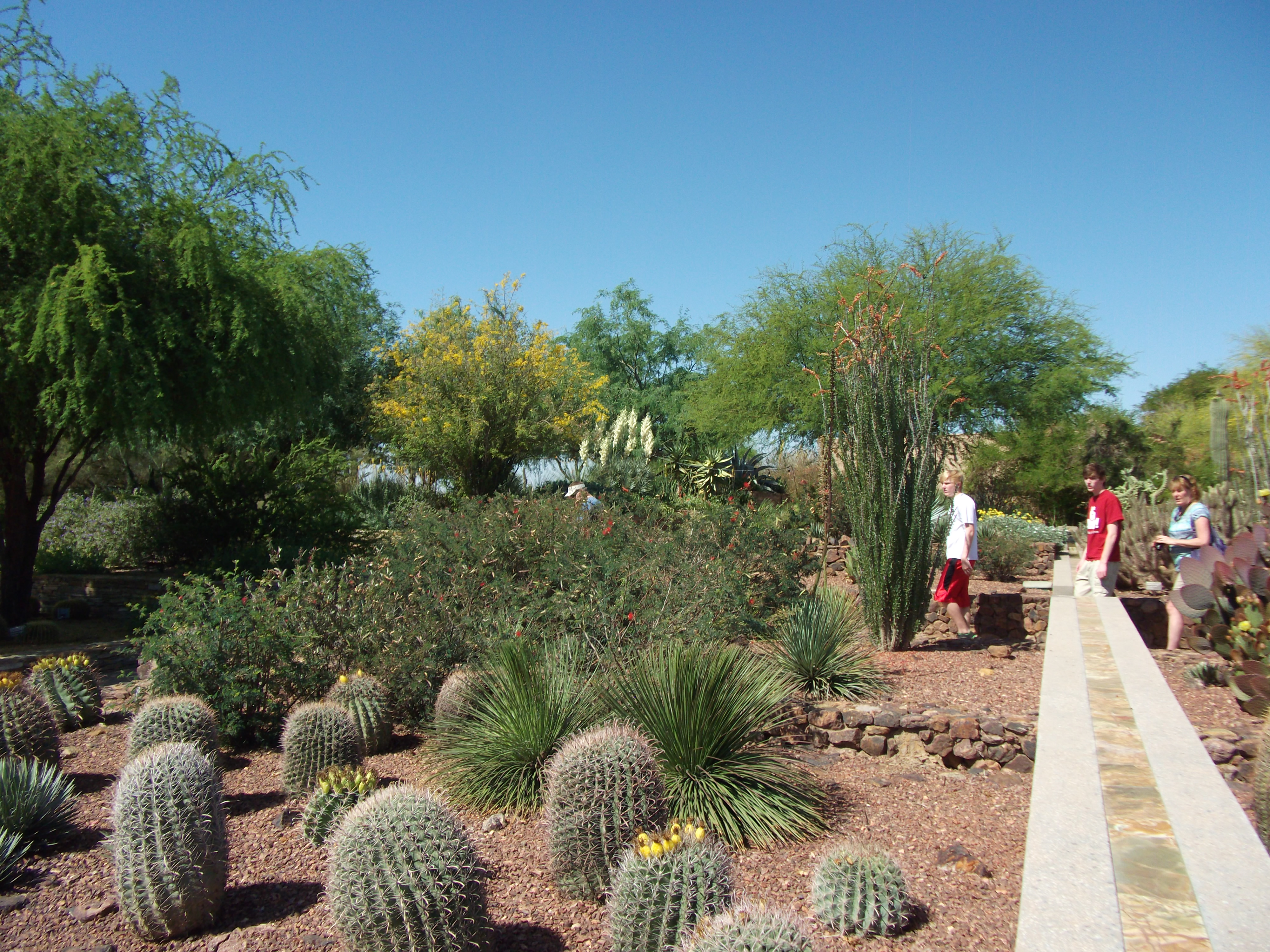 2012_04_28_botanical_sk_0013.jpg (large)