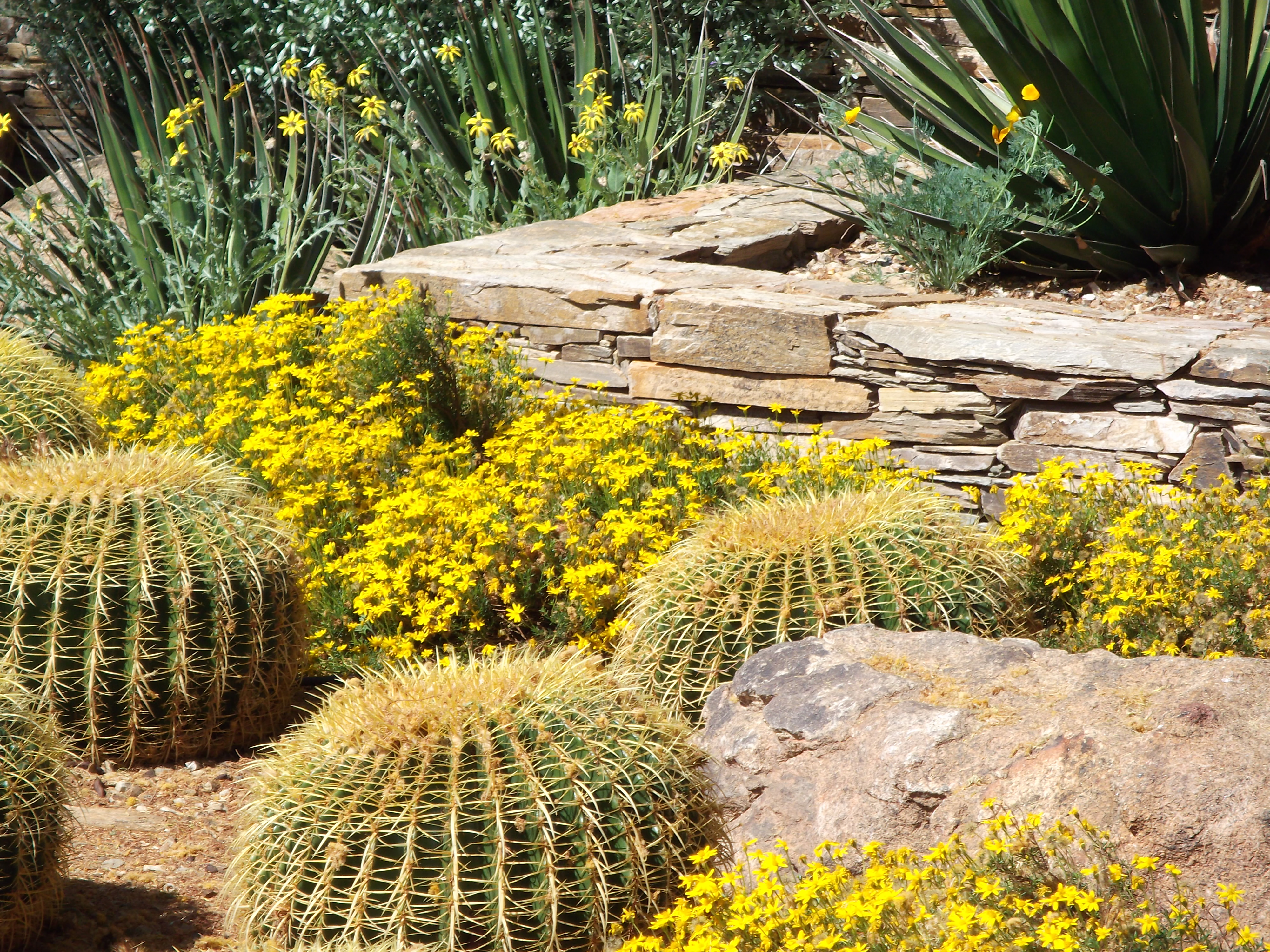 2012_04_28_botanical_sk_0015.jpg (large)