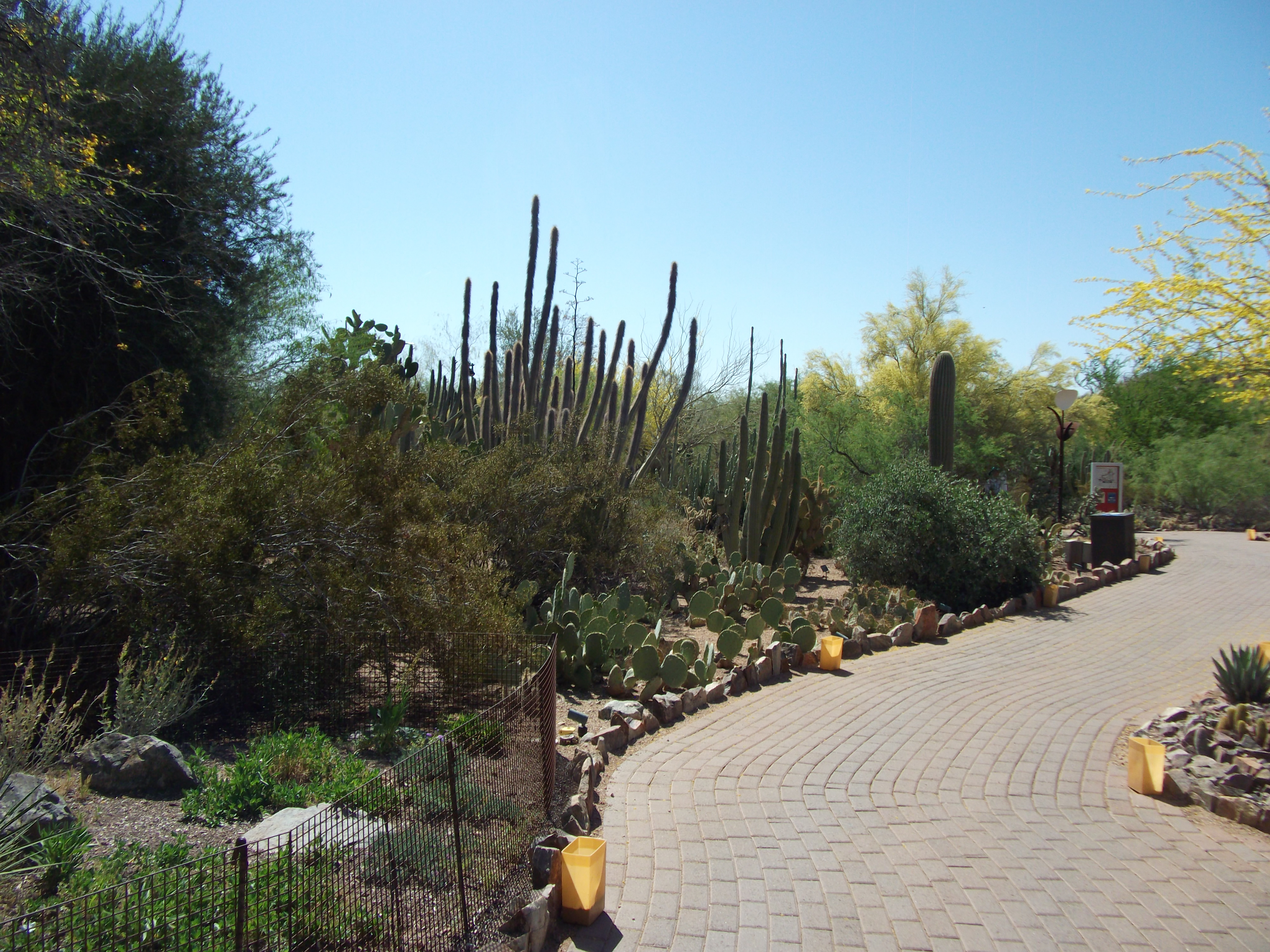 2012_04_28_botanical_sk_0020.jpg (large)