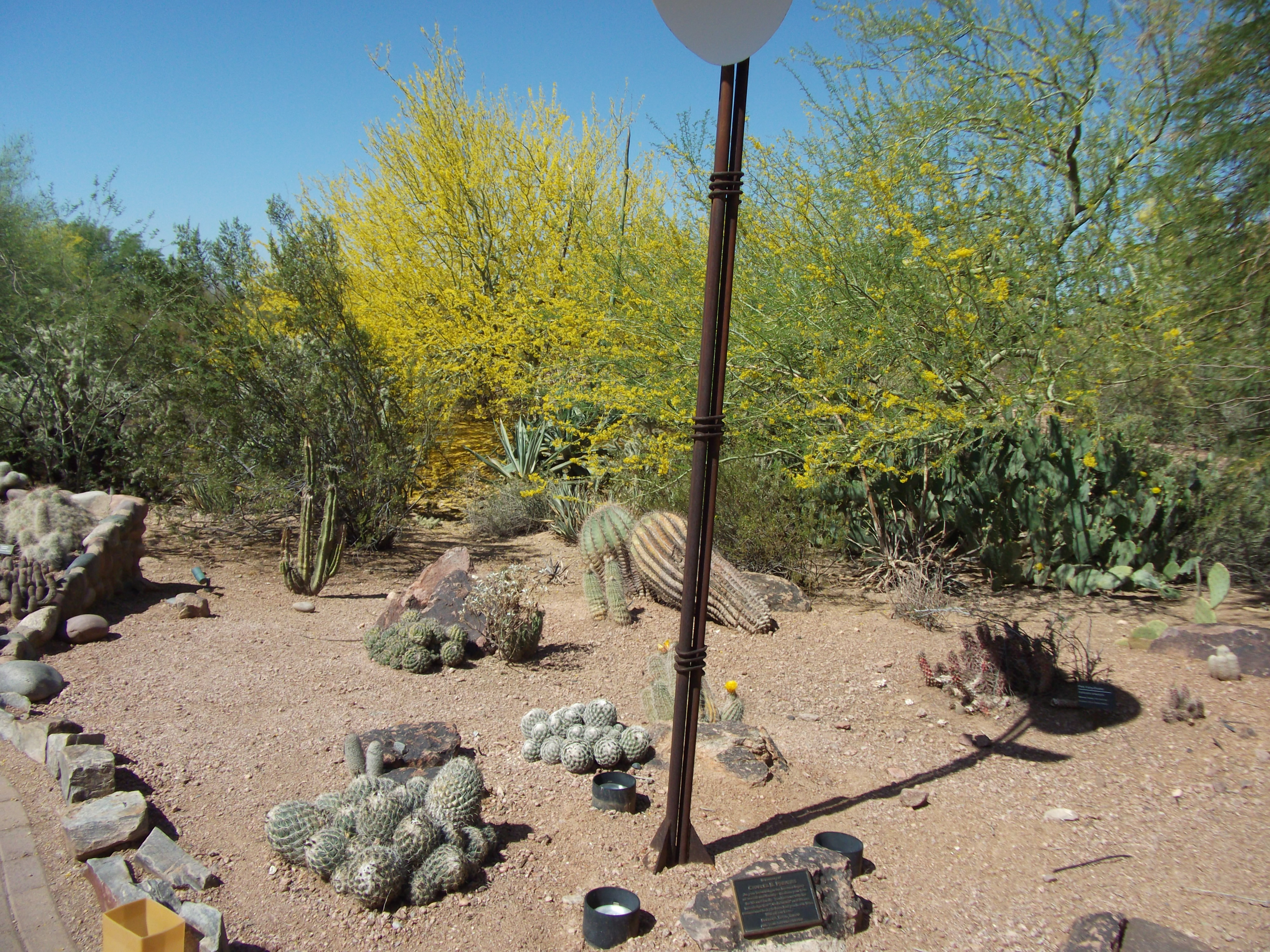 2012_04_28_botanical_sk_0021.jpg (large)