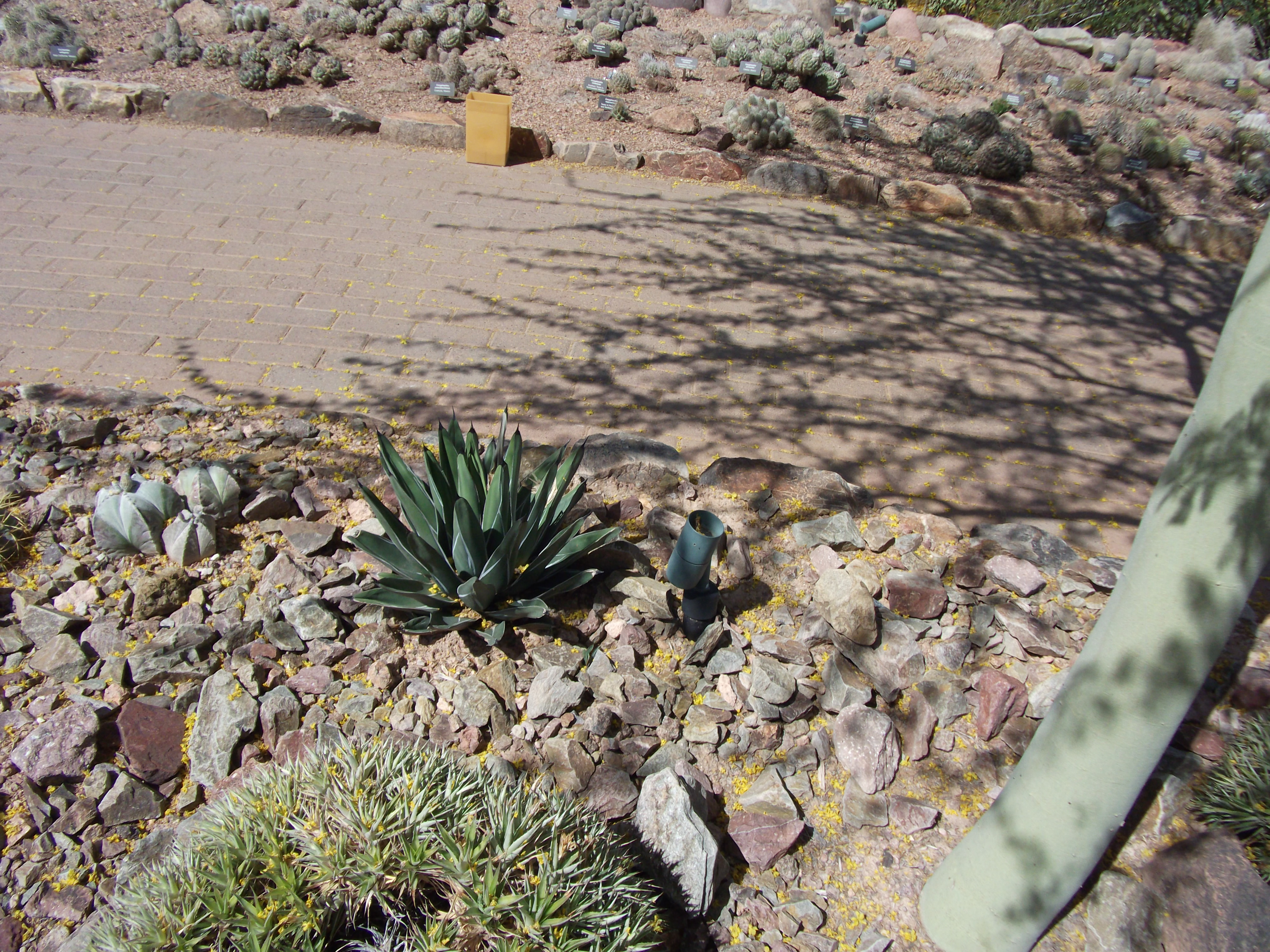 2012_04_28_botanical_sk_0026.jpg (large)