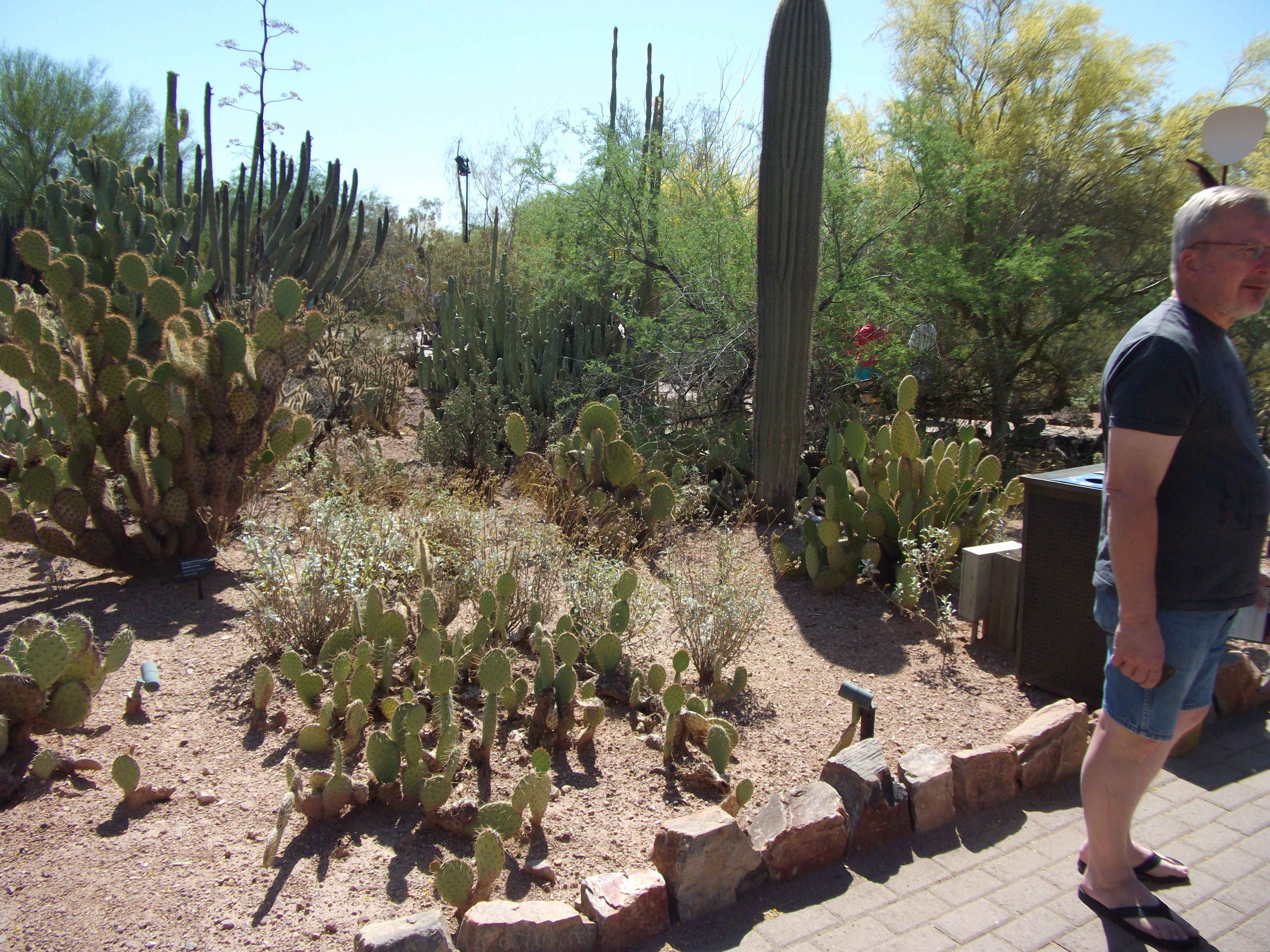 2012_04_28_botanical_sk_0027.jpg (large)