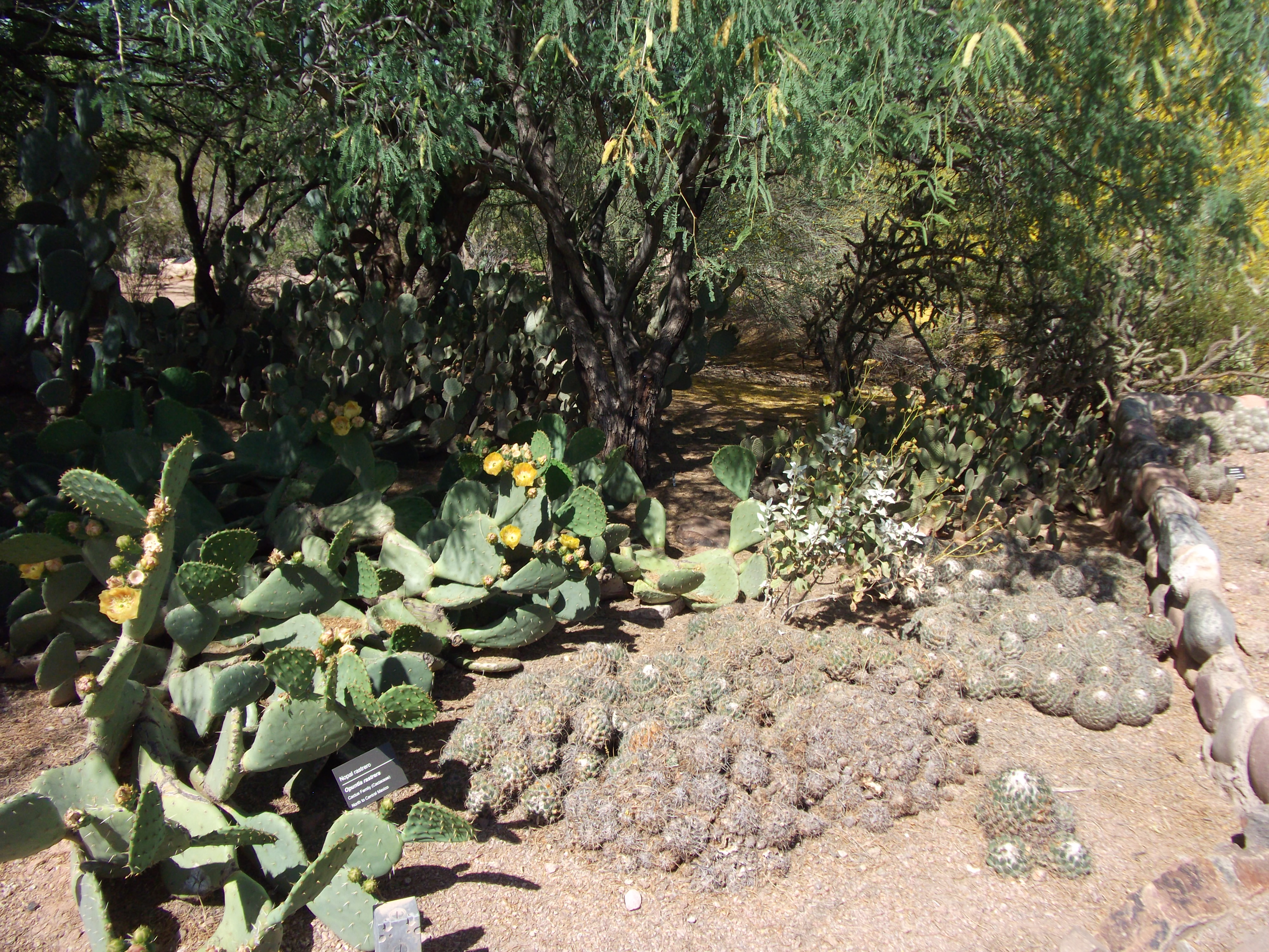 2012_04_28_botanical_sk_0029.jpg (large)