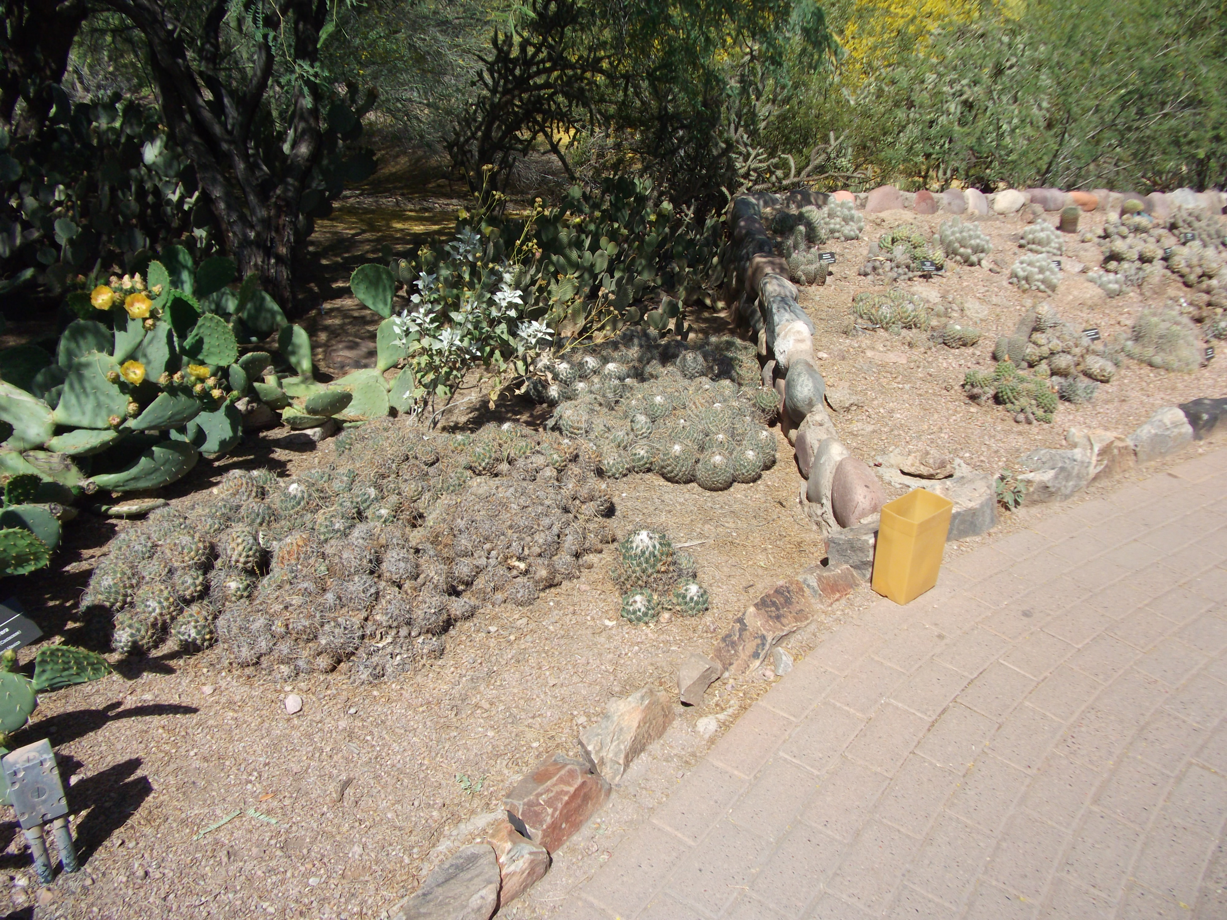 2012_04_28_botanical_sk_0030.jpg (large)