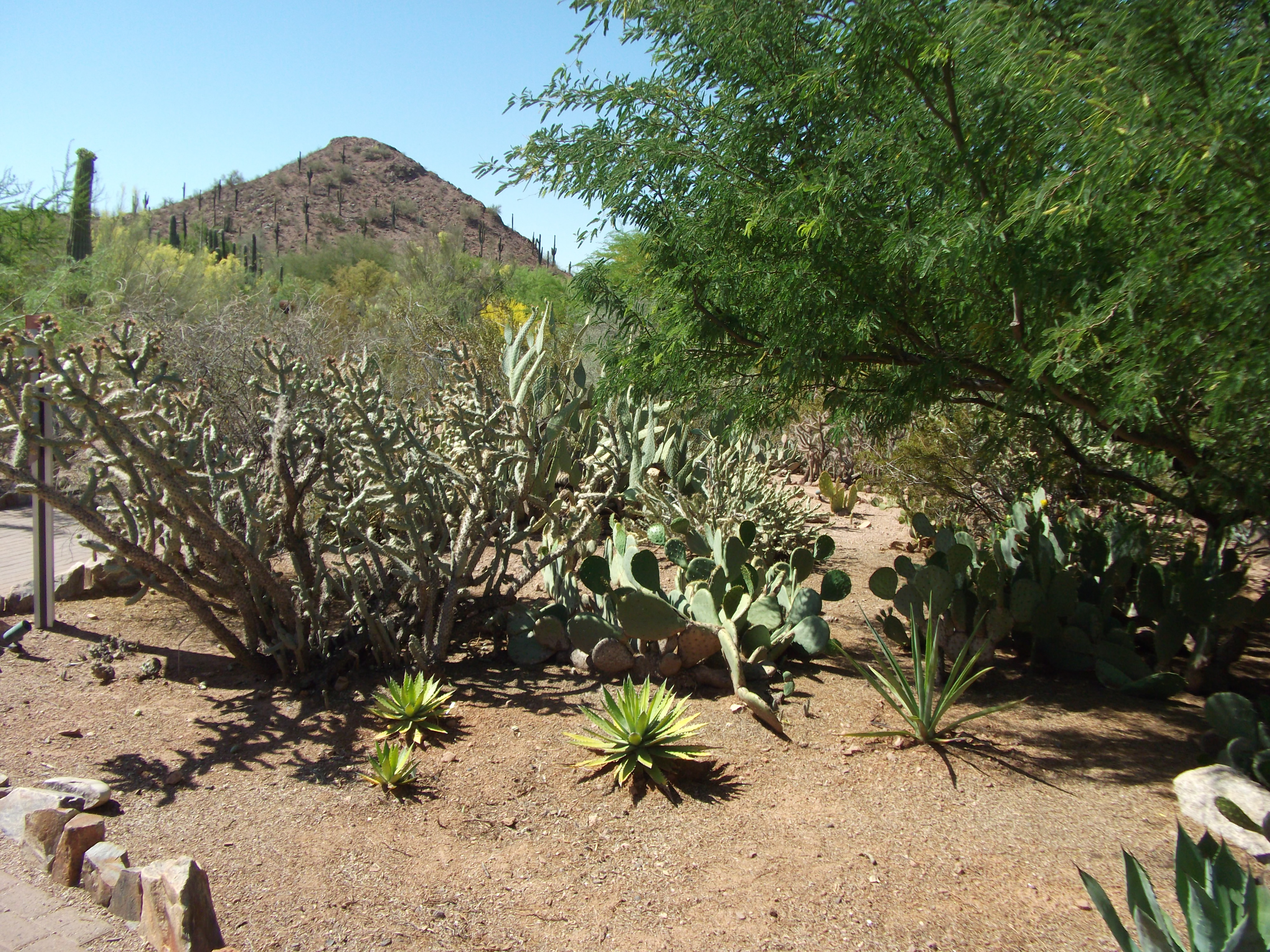 2012_04_28_botanical_sk_0033.jpg (large)