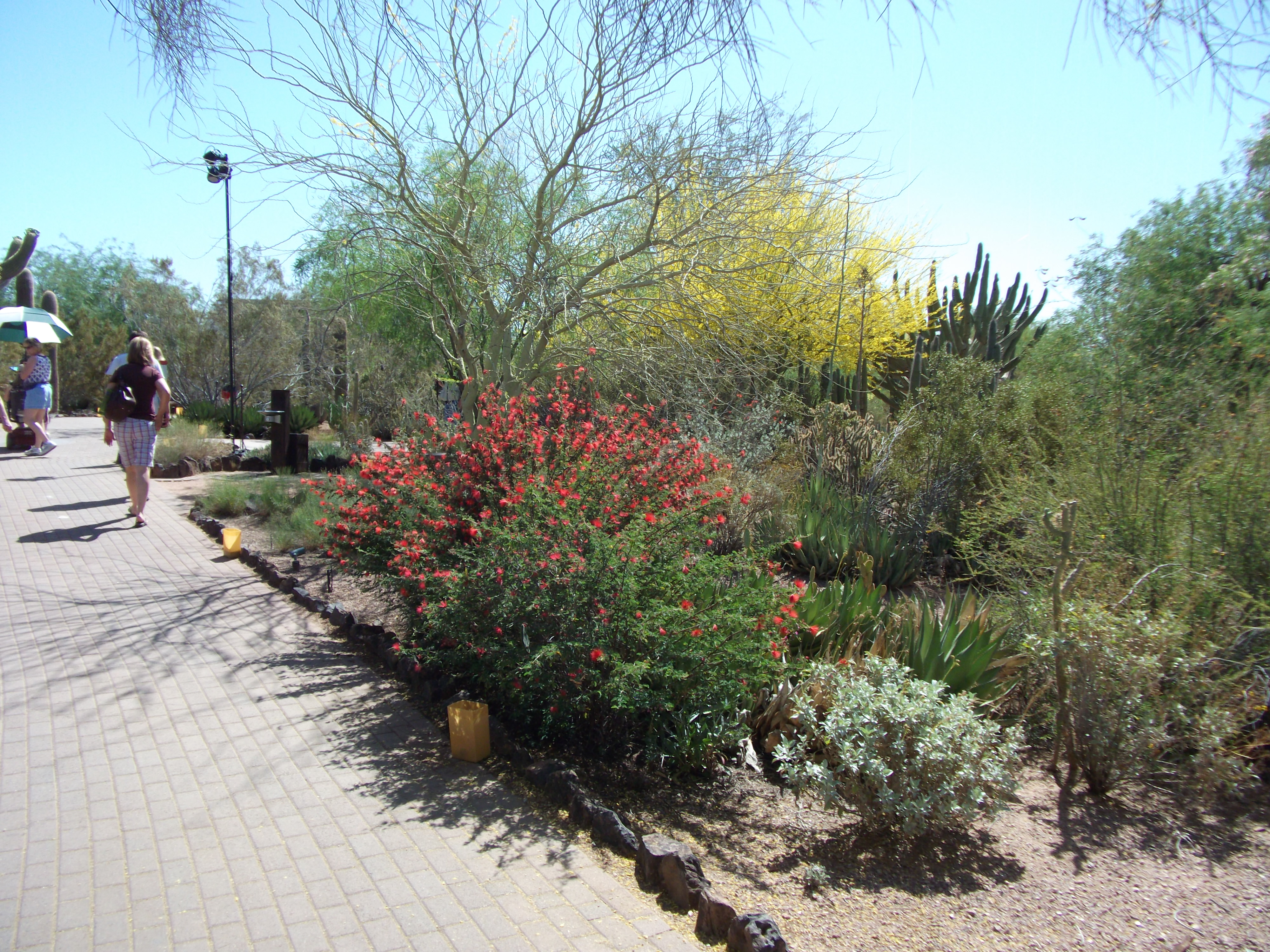 2012_04_28_botanical_sk_0039.jpg (large)