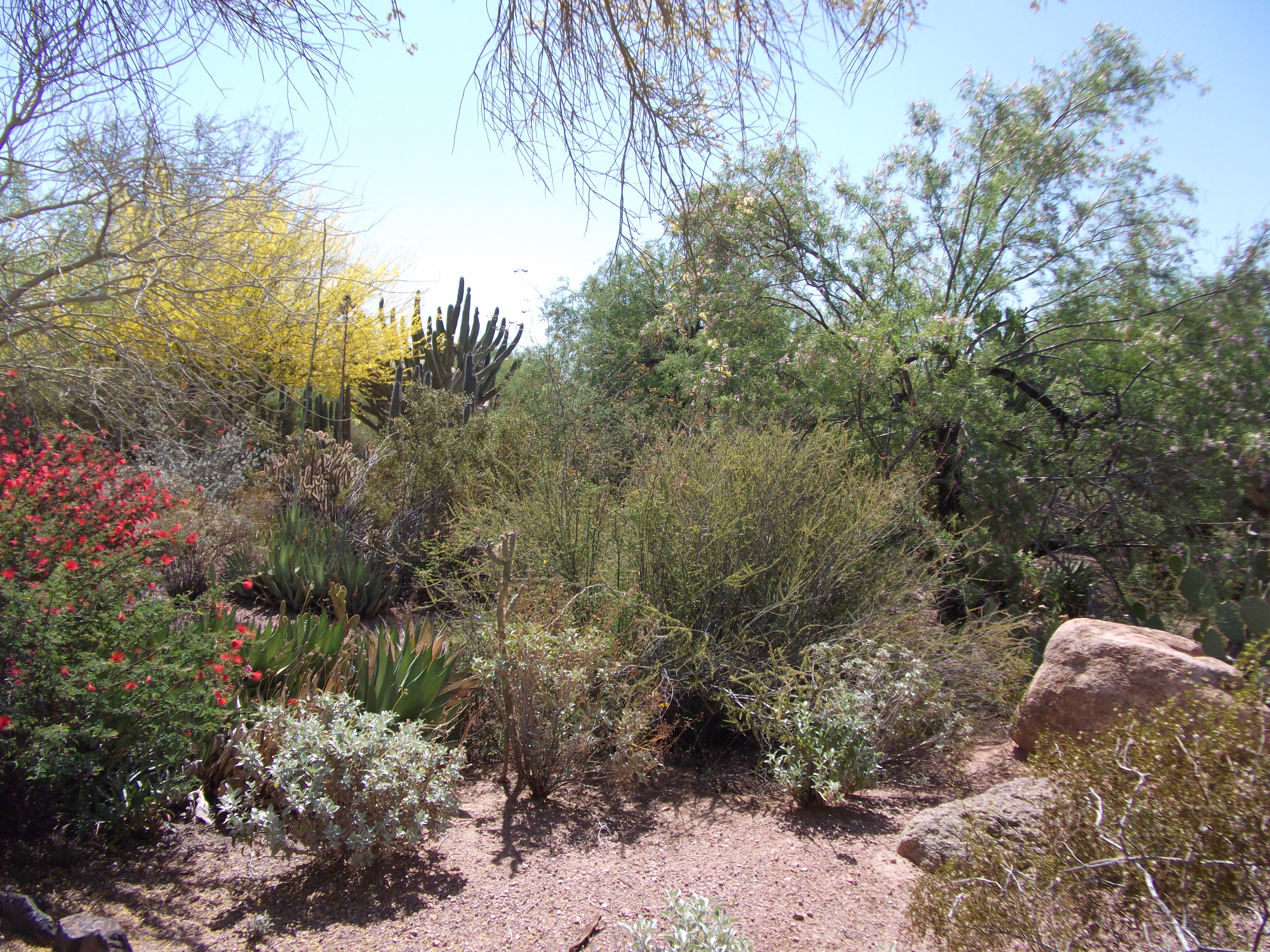 2012_04_28_botanical_sk_0040.jpg (large)